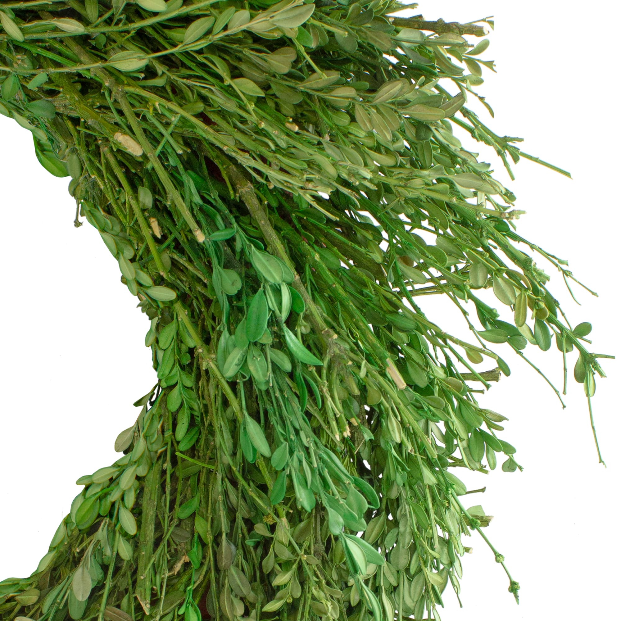 20&#x22; Green Foliage Artificial Spring Wreath