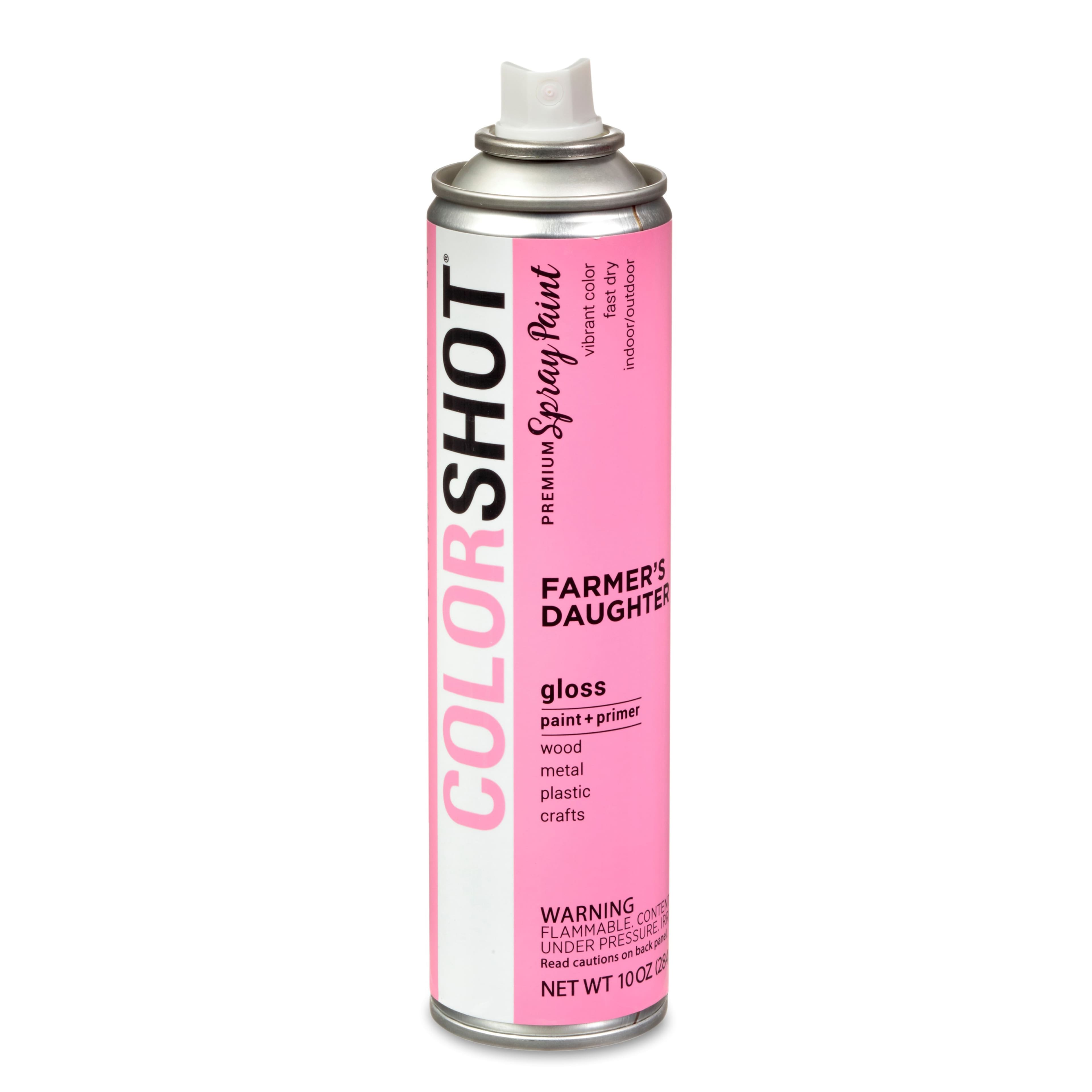 COLORSHOT&#xAE; Premium Gloss Spray Paint