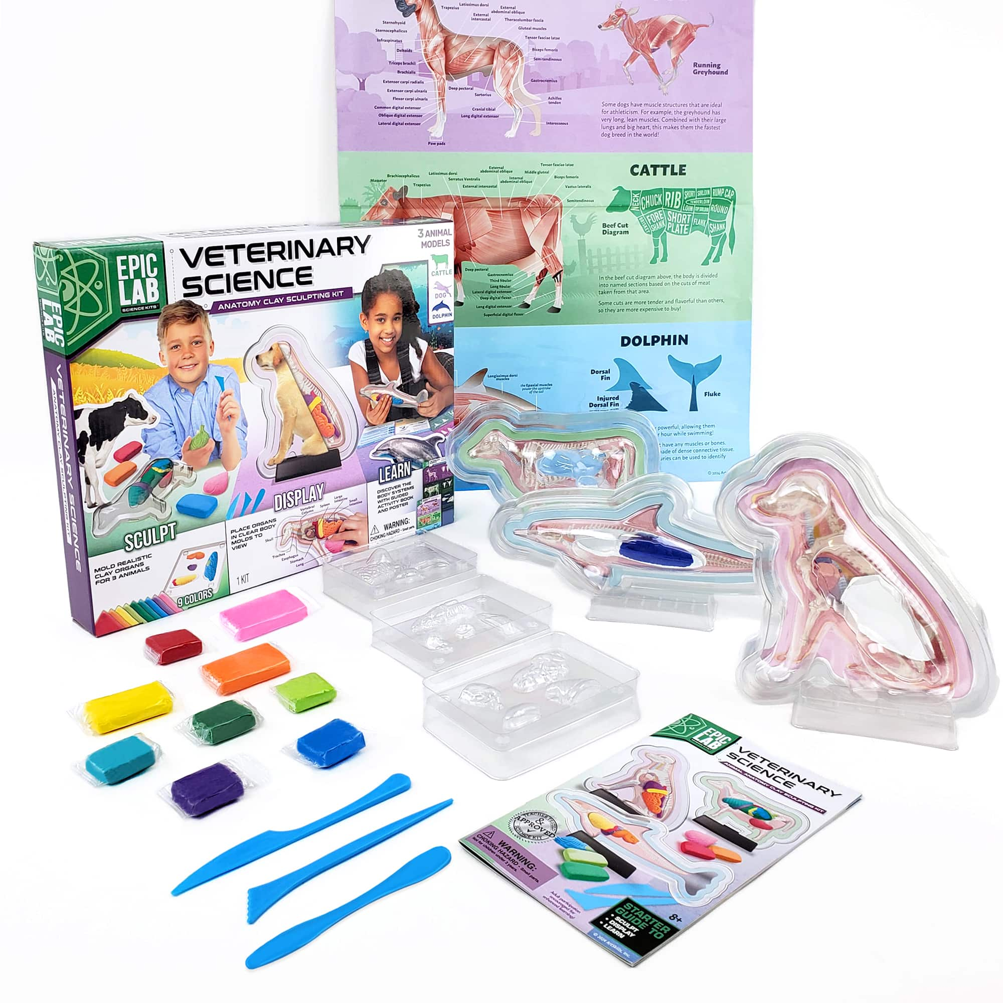 ArtSkills&#xAE; Epic Lab Veterinary Science STEM Kit