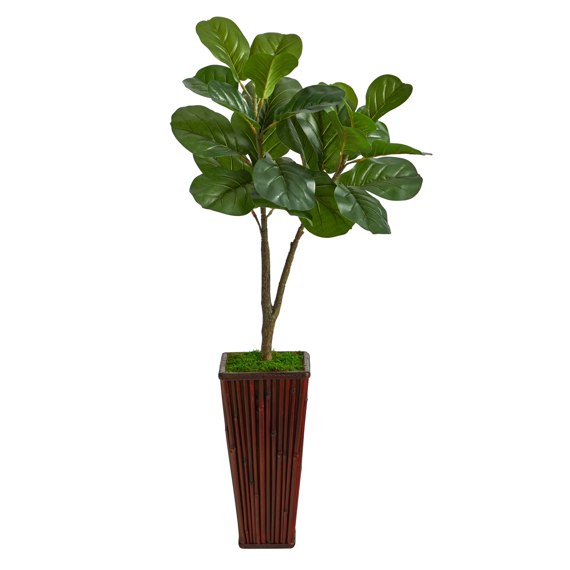 3ft. Fiddle Leaf Fig Tree in Bamboo Planter