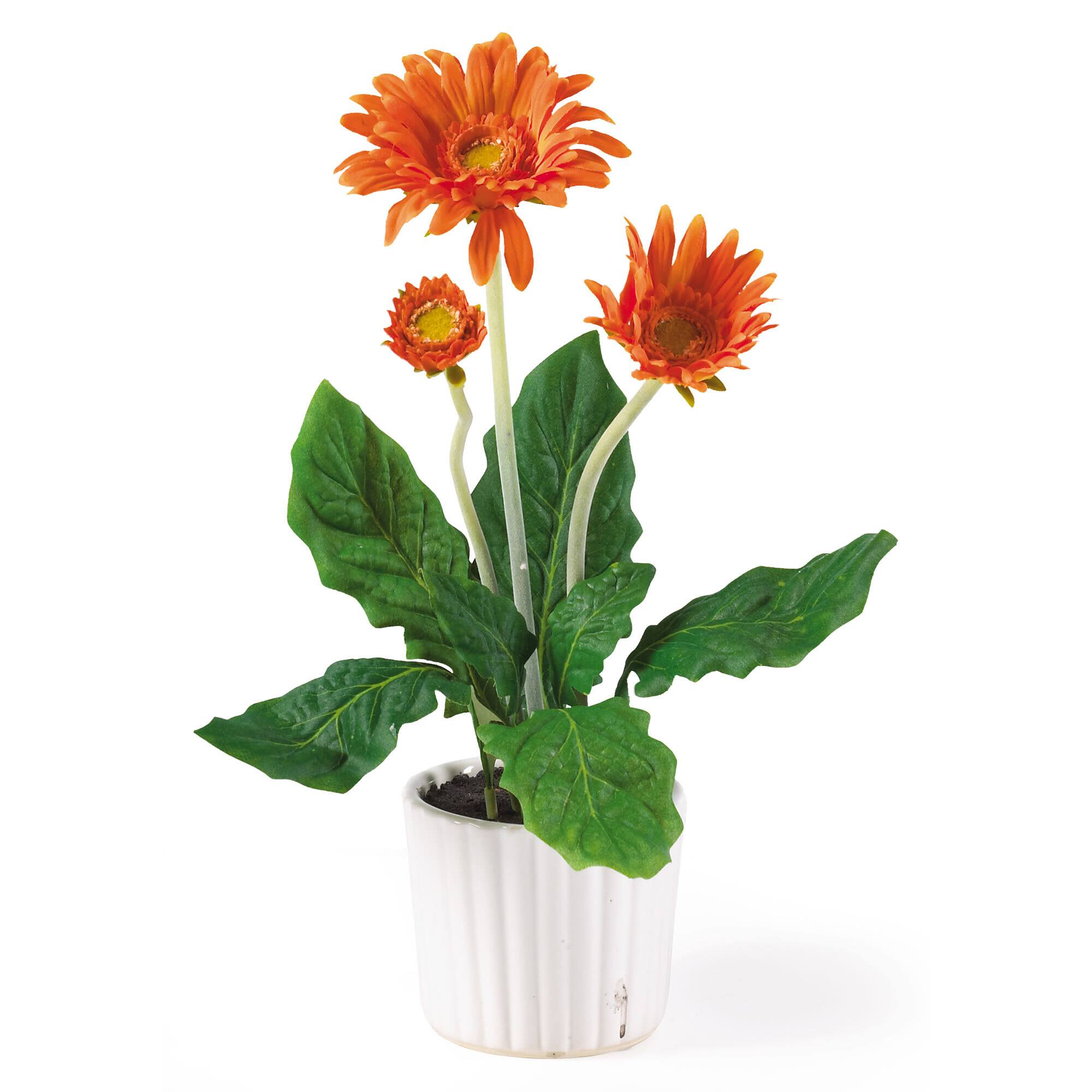 12" Colorful Gerbera Daisy in White Pot, 6ct. Michaels
