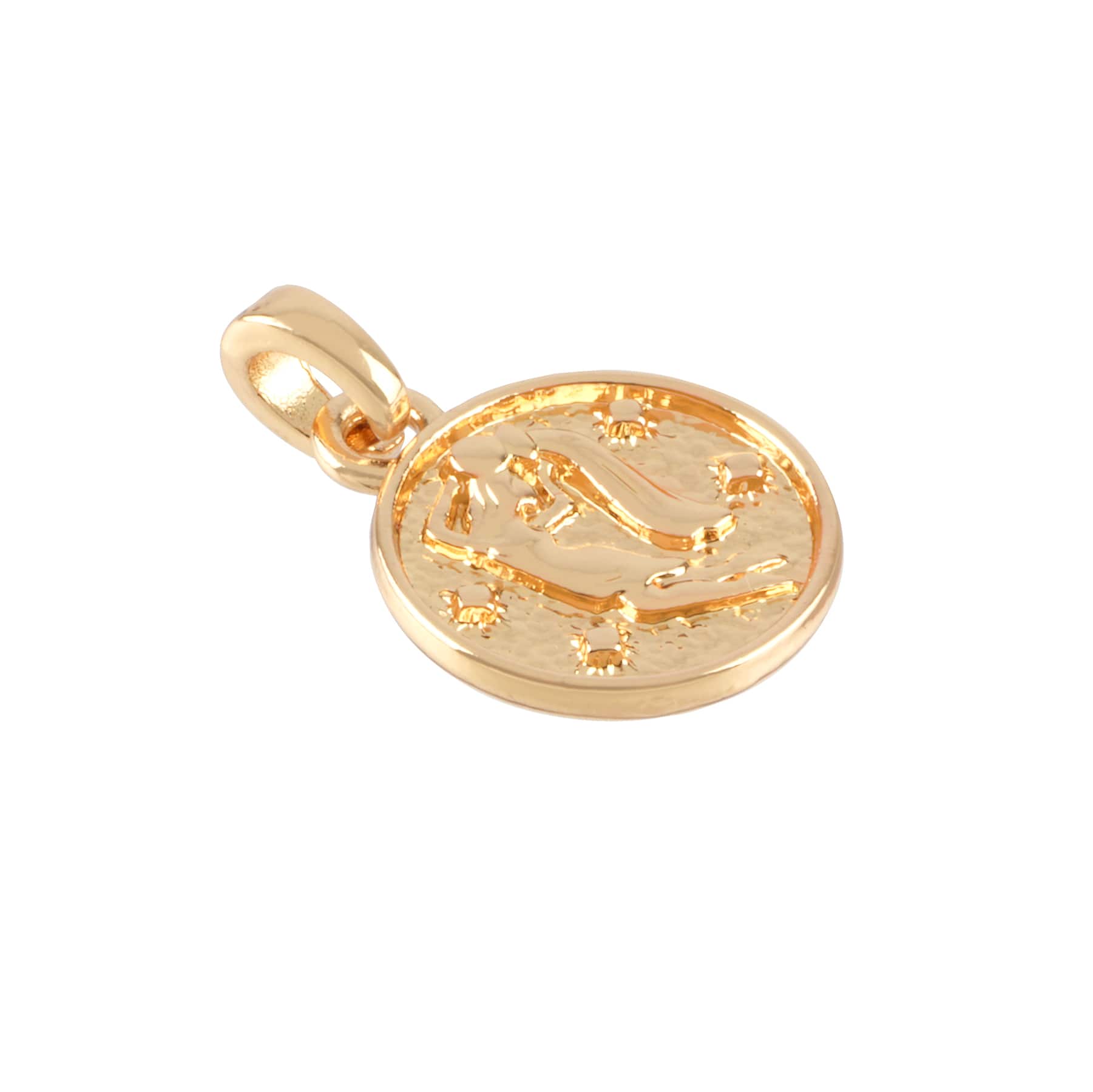 12 Pack: Metal Zodiac Coin Charm by Bead Landing™