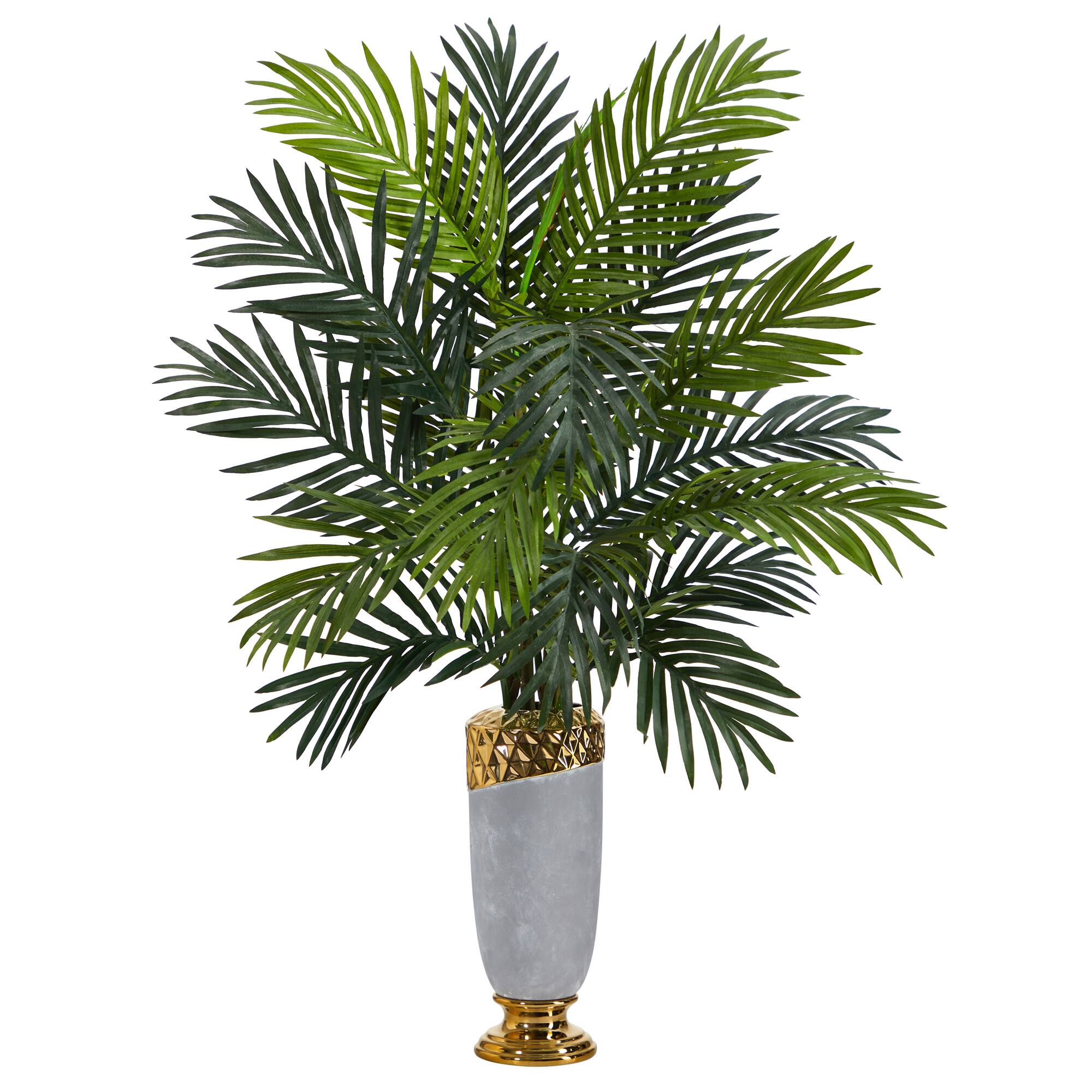 3ft. Areca Palm Plant in Designer Planter