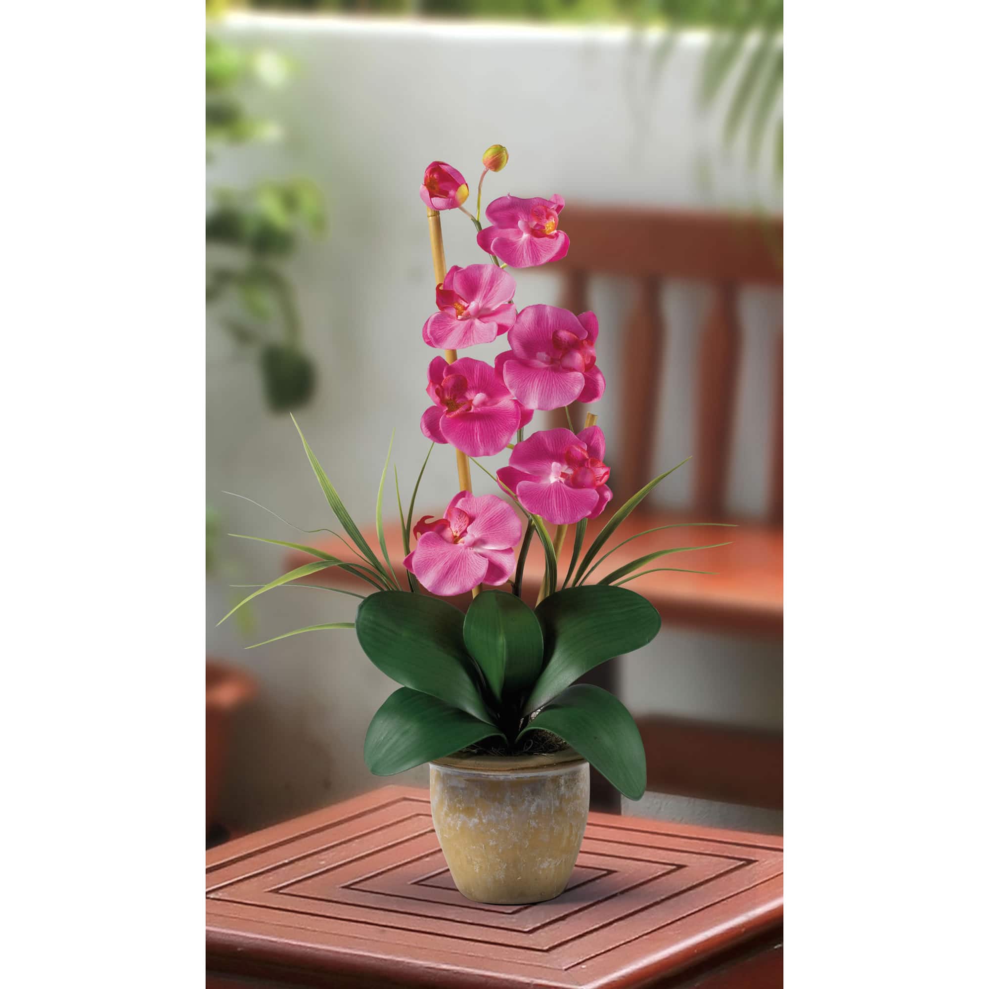 21&#x22; Moth Orchid Flower Arrangement in Ceramic Pot