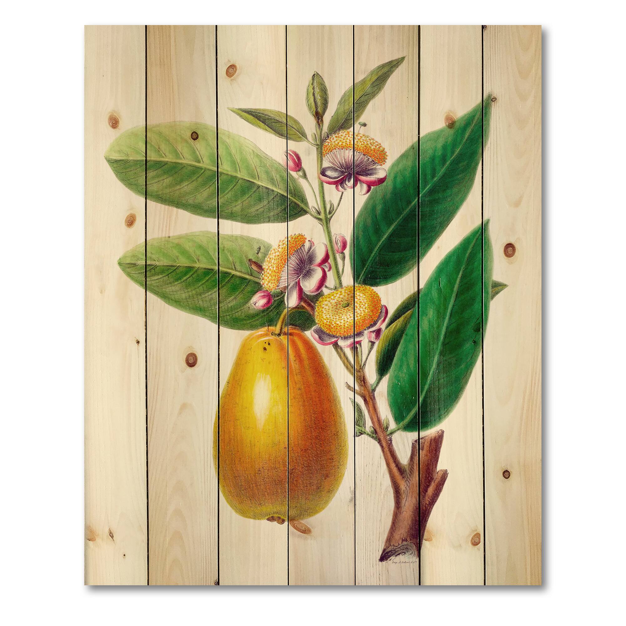 Designart - Vintage Fruits I - Farmhouse Print on Natural Pine Wood