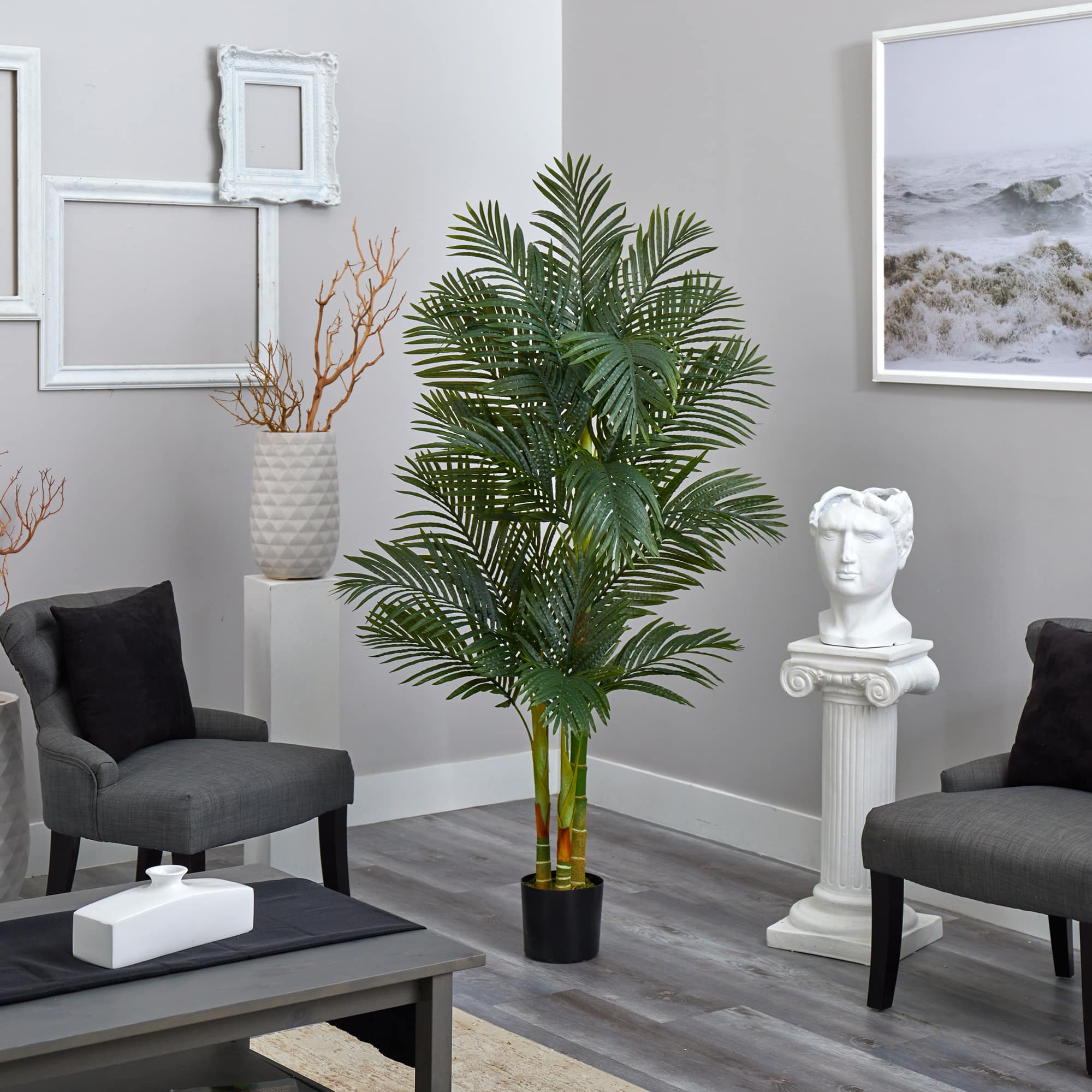 6ft. Potted Golden Cane Palm Tree