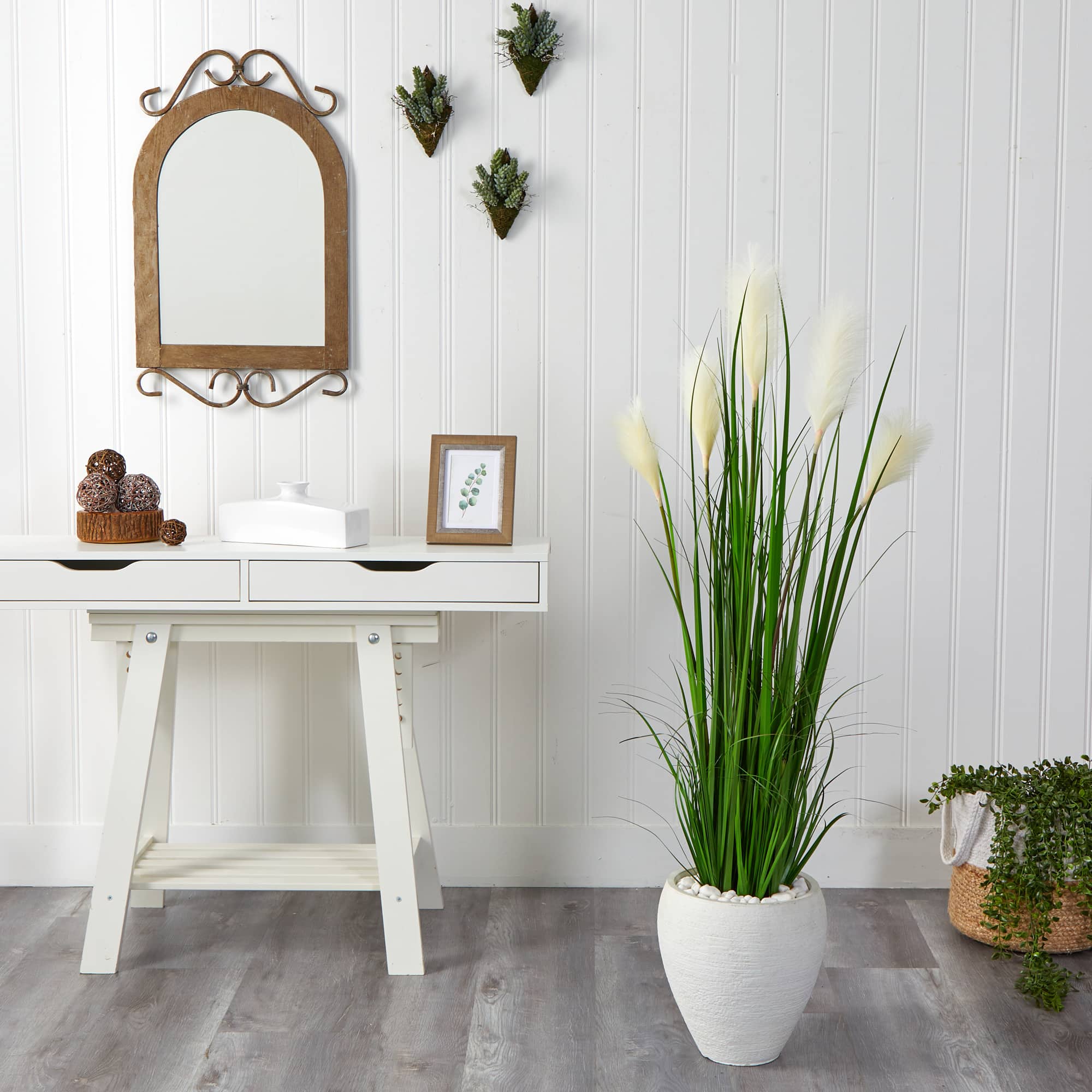 4.5ft. Wheat Plume Grass Plant in White Planter