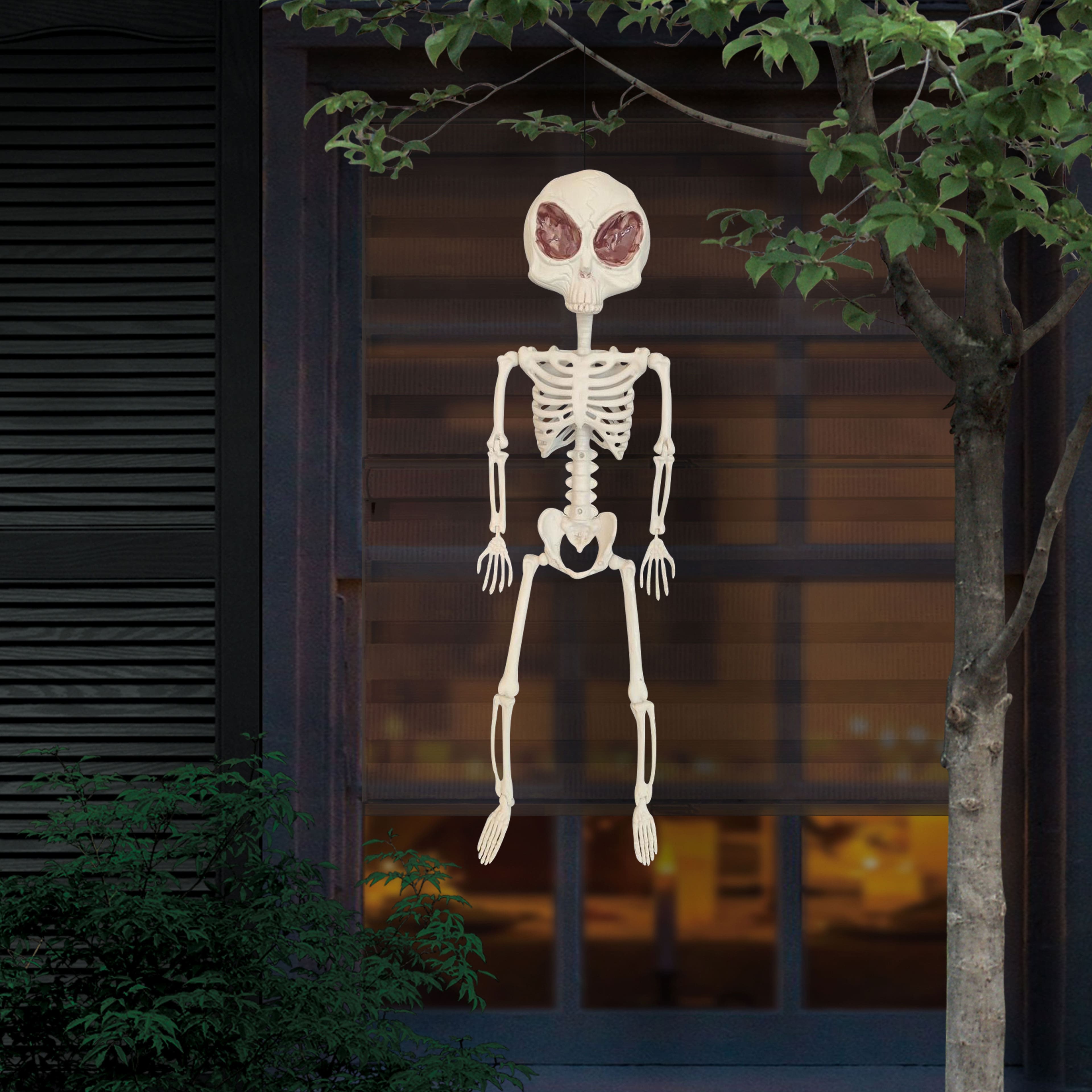 24&#x22; Alien Skeleton by Ashland&#xAE;