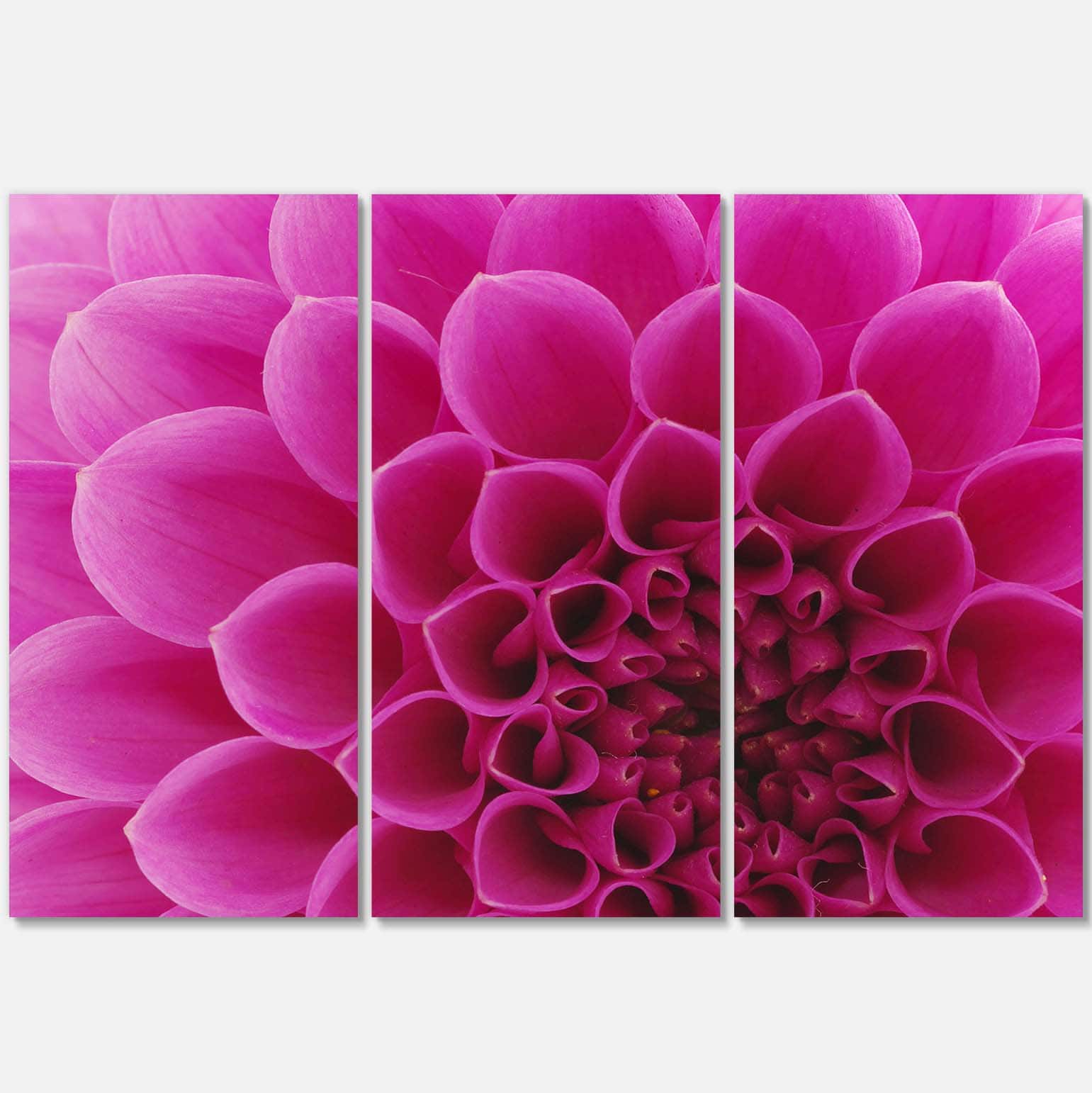 Designart - Dark Pink Abstract Flower Petals