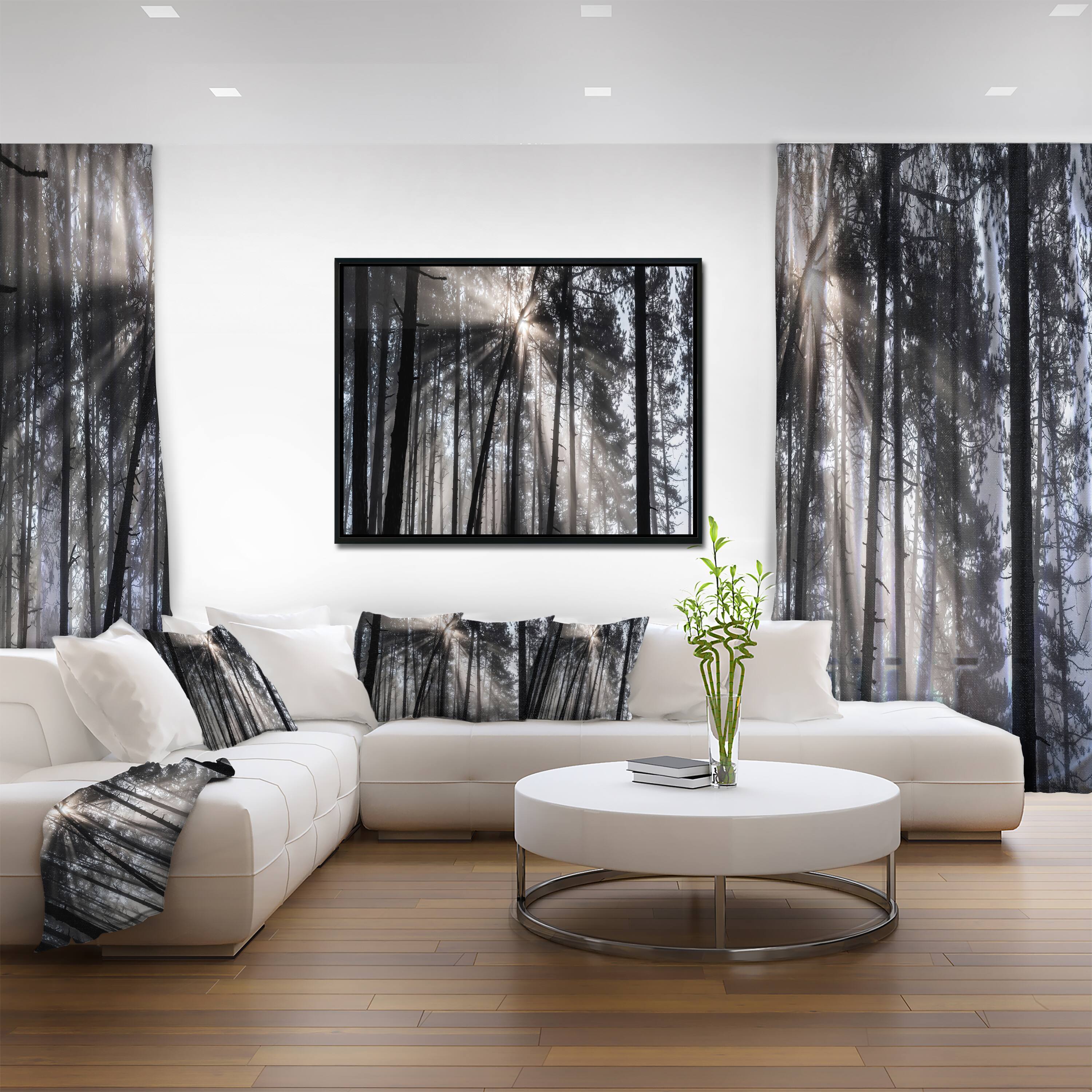 Designart - Sunbeams through Black White Forest - Forest Framed Canvas Wall Art Print