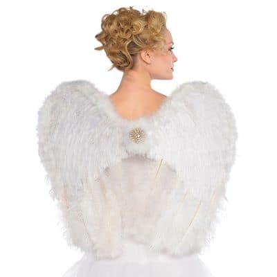 Angel Deluxe Feather Wings | Michaels