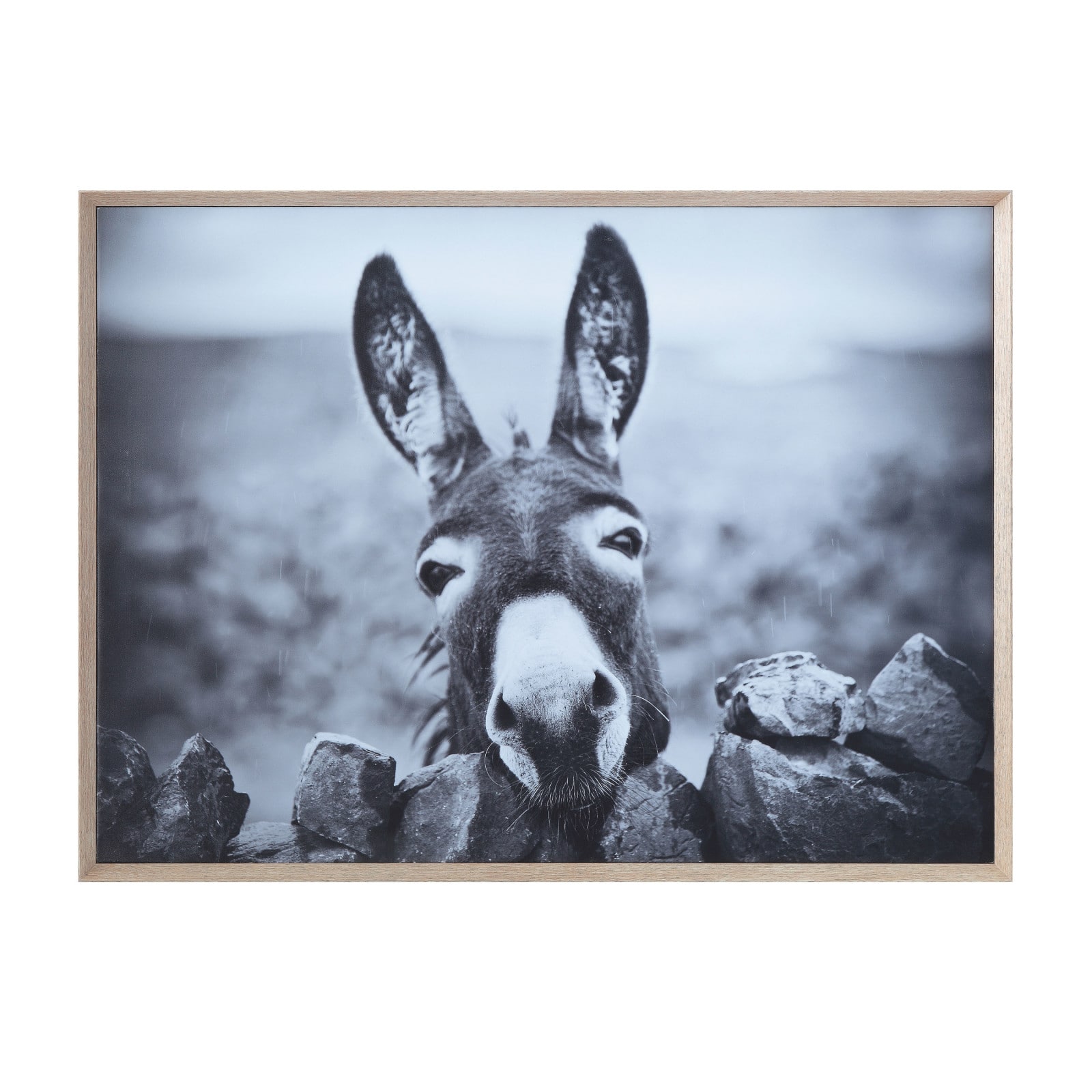 Hello Honey&#xAE; Black &#x26; White Donkey on Canvas Wood Framed Wall D&#xE9;cor
