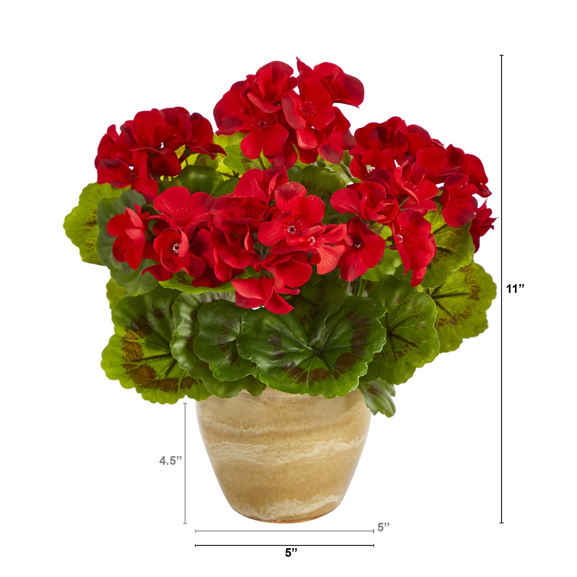 11&#x27;&#x27; Red Geranium in Ceramic Planter