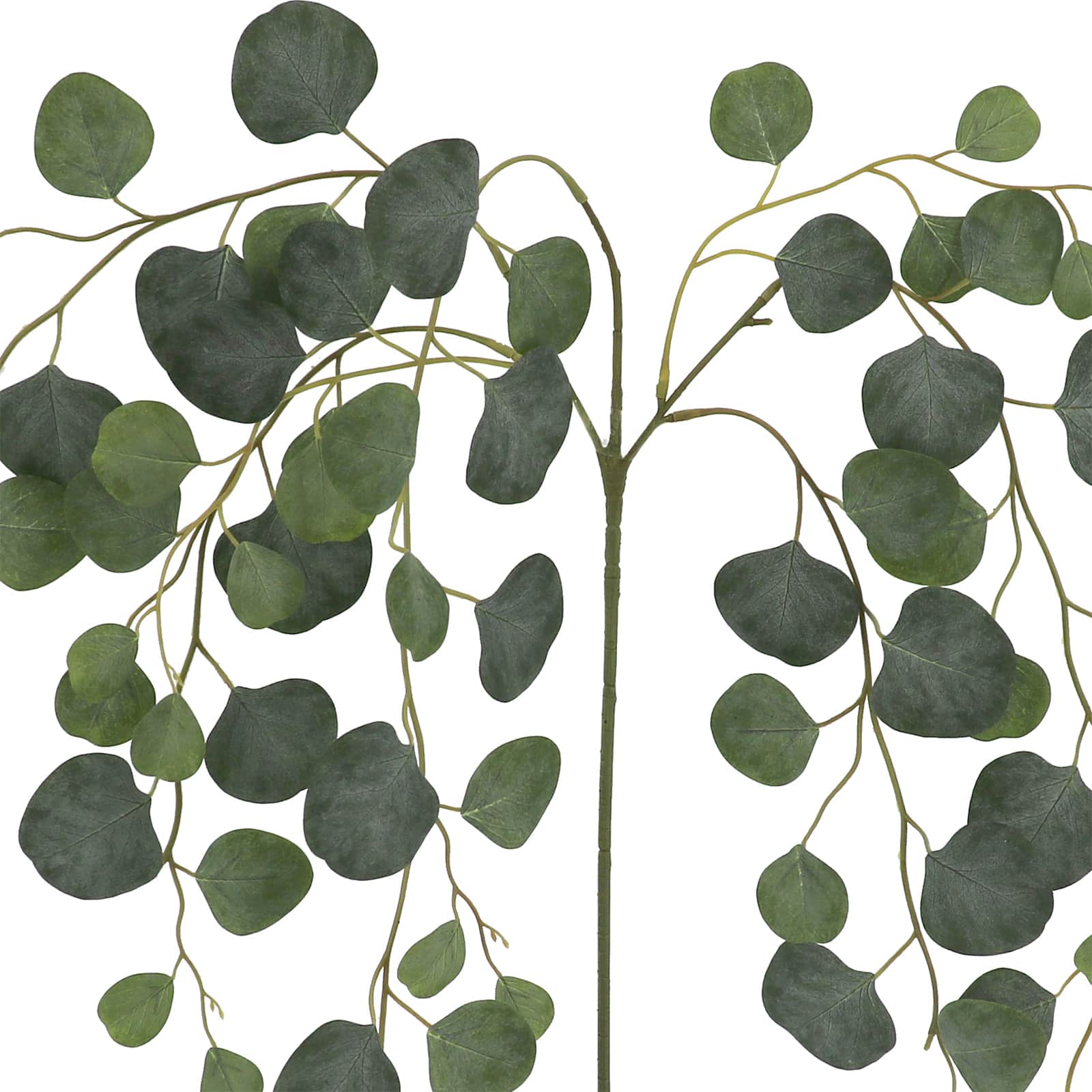 24&#x22; Round Eucalyptus Stem by Ashland&#xAE;