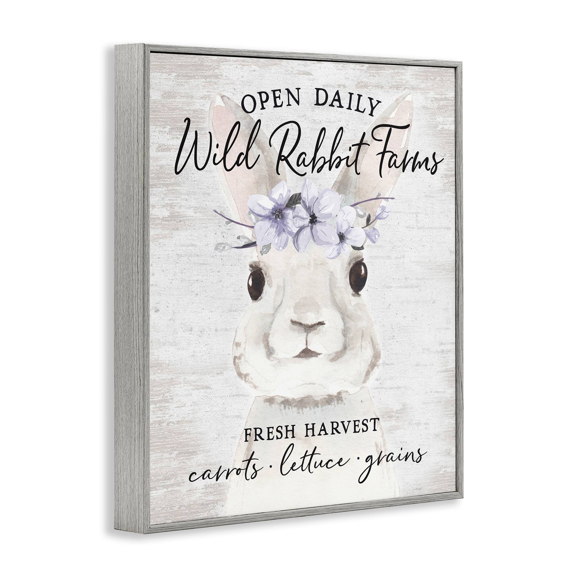 Stupell Industries Wild Rabbit Farms Weathered Floral Crown Sign Framed Giclee Art