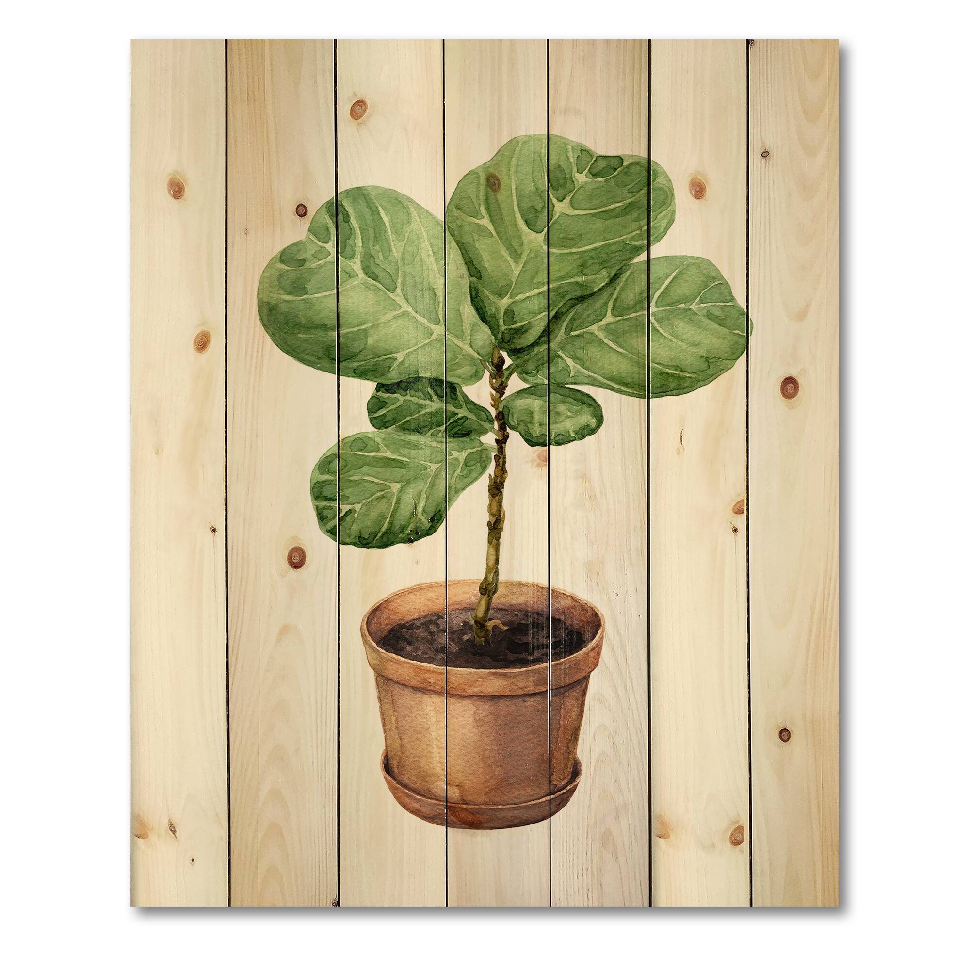 Designart - Ficus Lyre In Clay Flowerpot