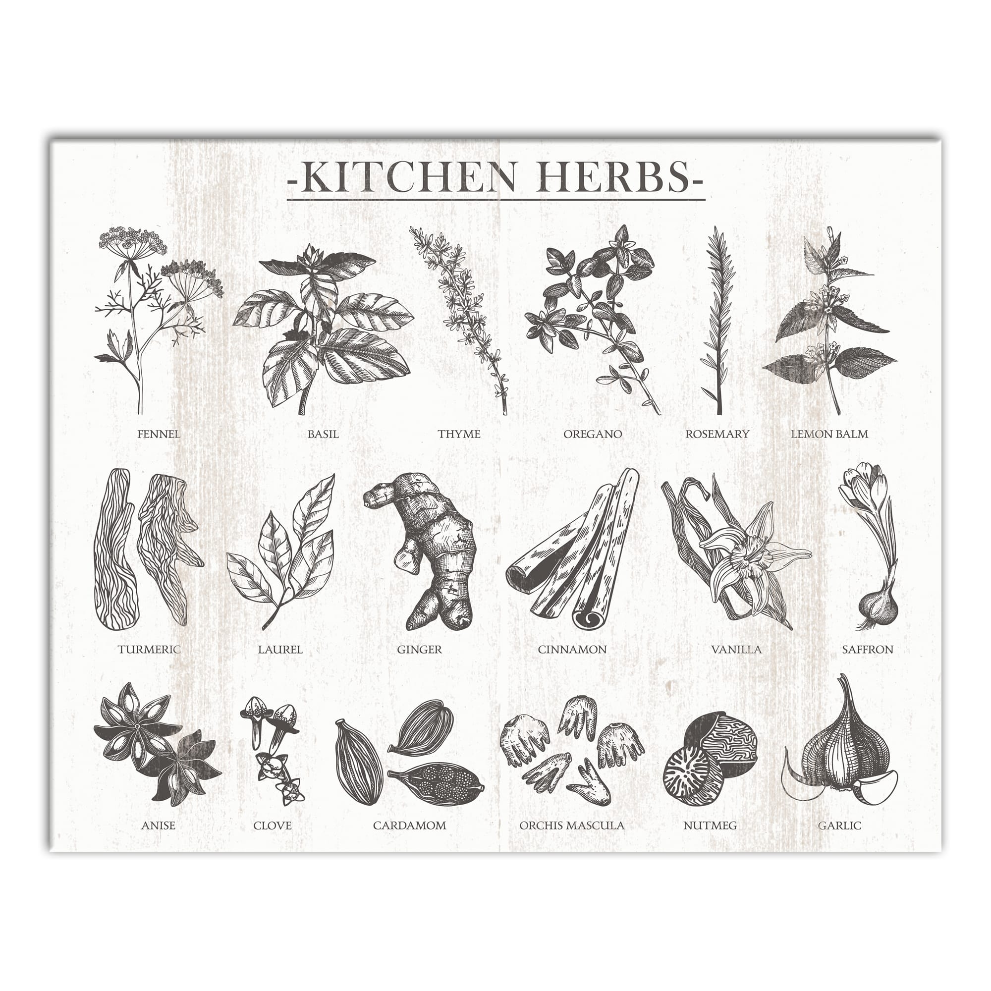 Kitchen Herbs Canvas Wall Art