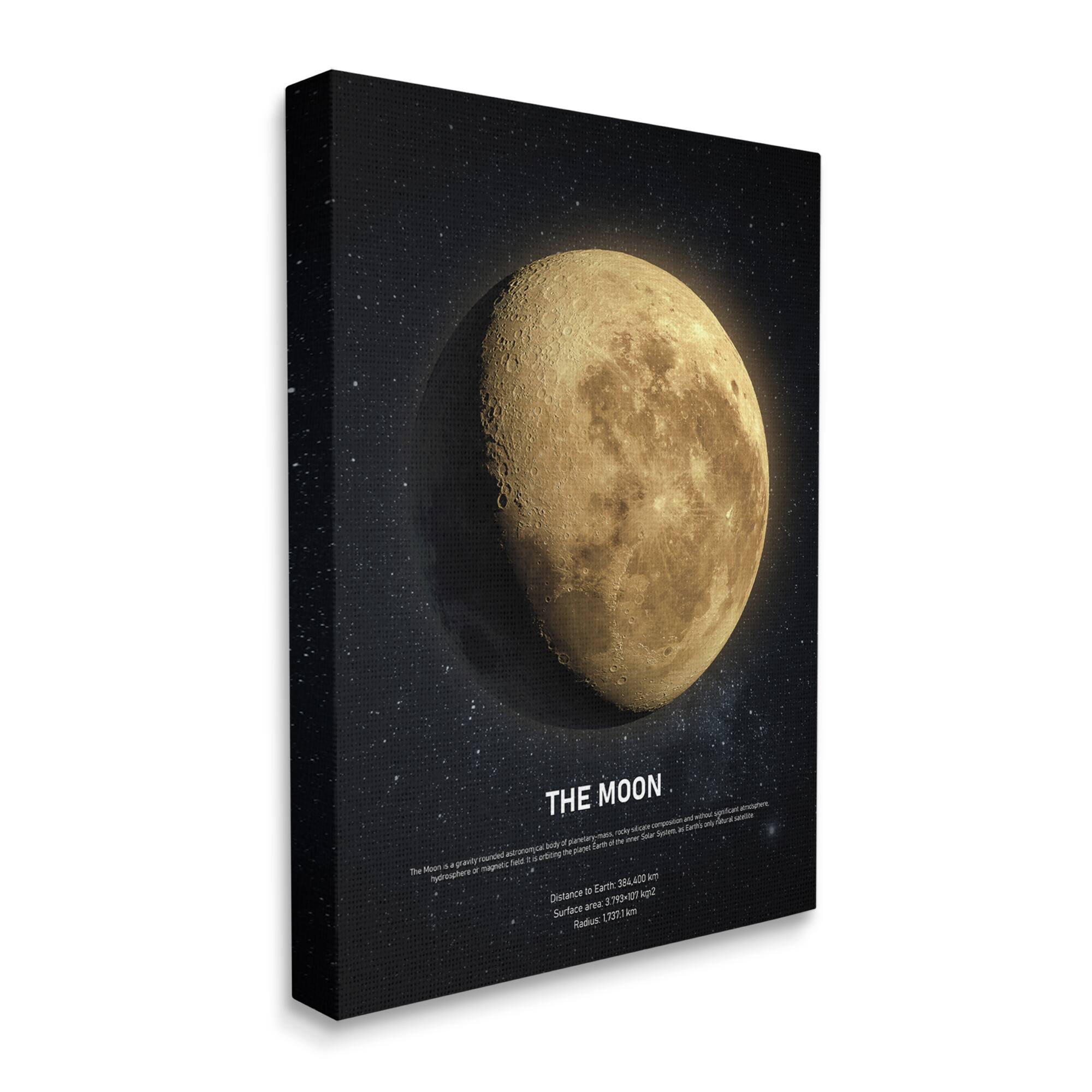 Stupell Industries Earth's Moon Celestial Facts Outer Space Infographic Canvas Wall Art in Brown | 30" x 40" | Michaels®