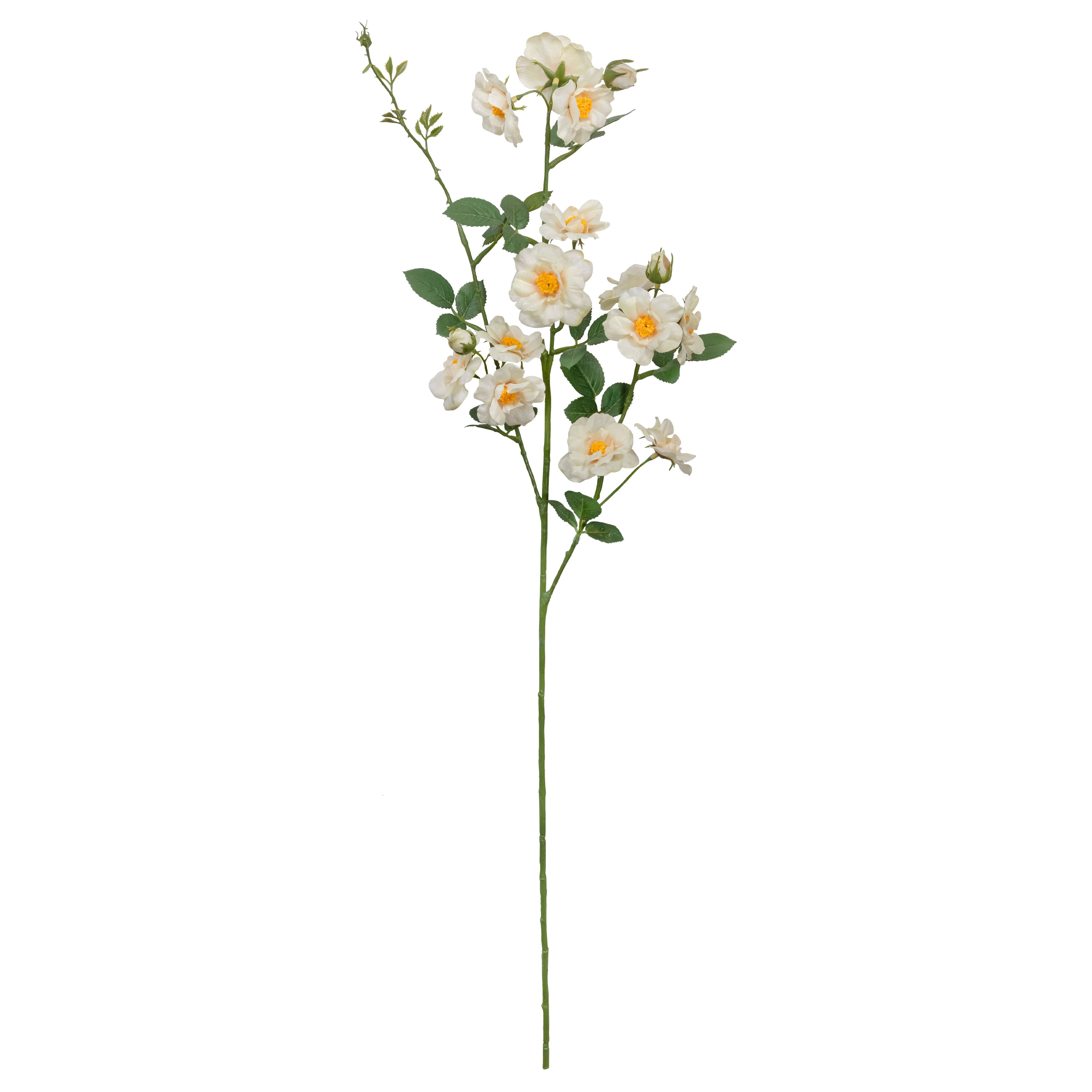 33&#x22; Cream Wild Rose Spray by Ashland&#xAE;