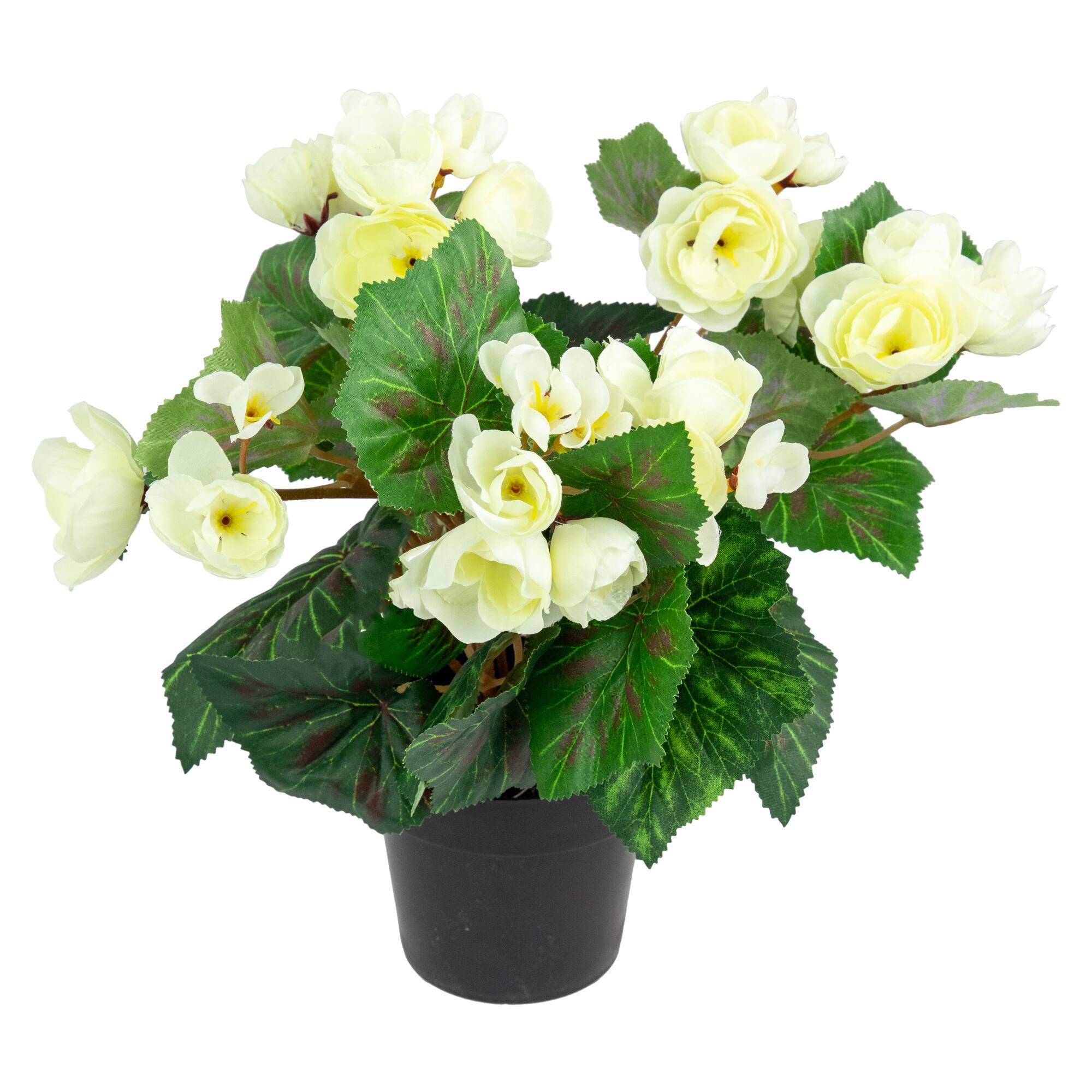 11&#x22; Cream Potted Silk Begonia Floral Arrangement