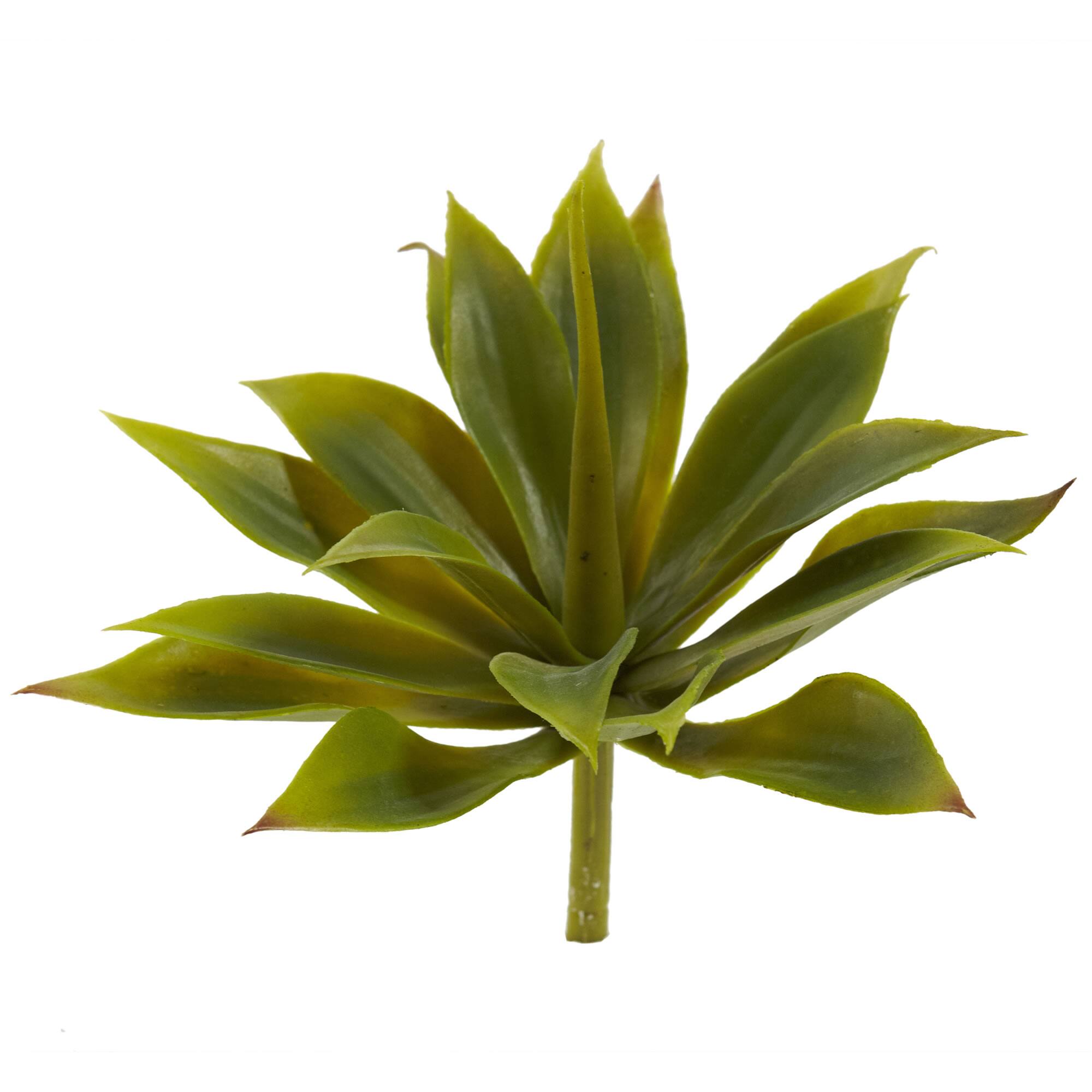 Agave Succulent Pick, 12ct.