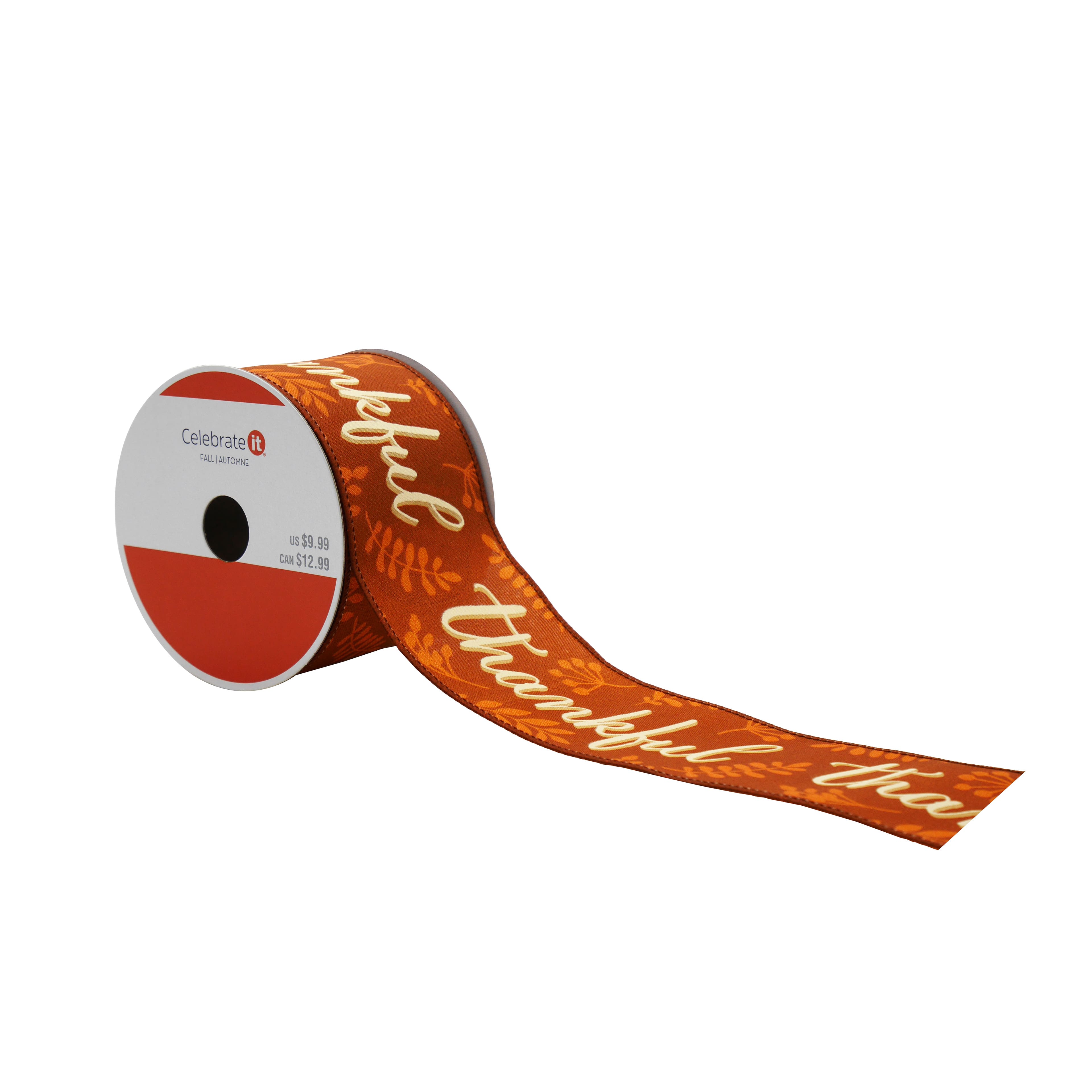 2.5&#x22; x 6.6yd. Orange Thankful Wired Ribbon by Celebrate It&#xAE;