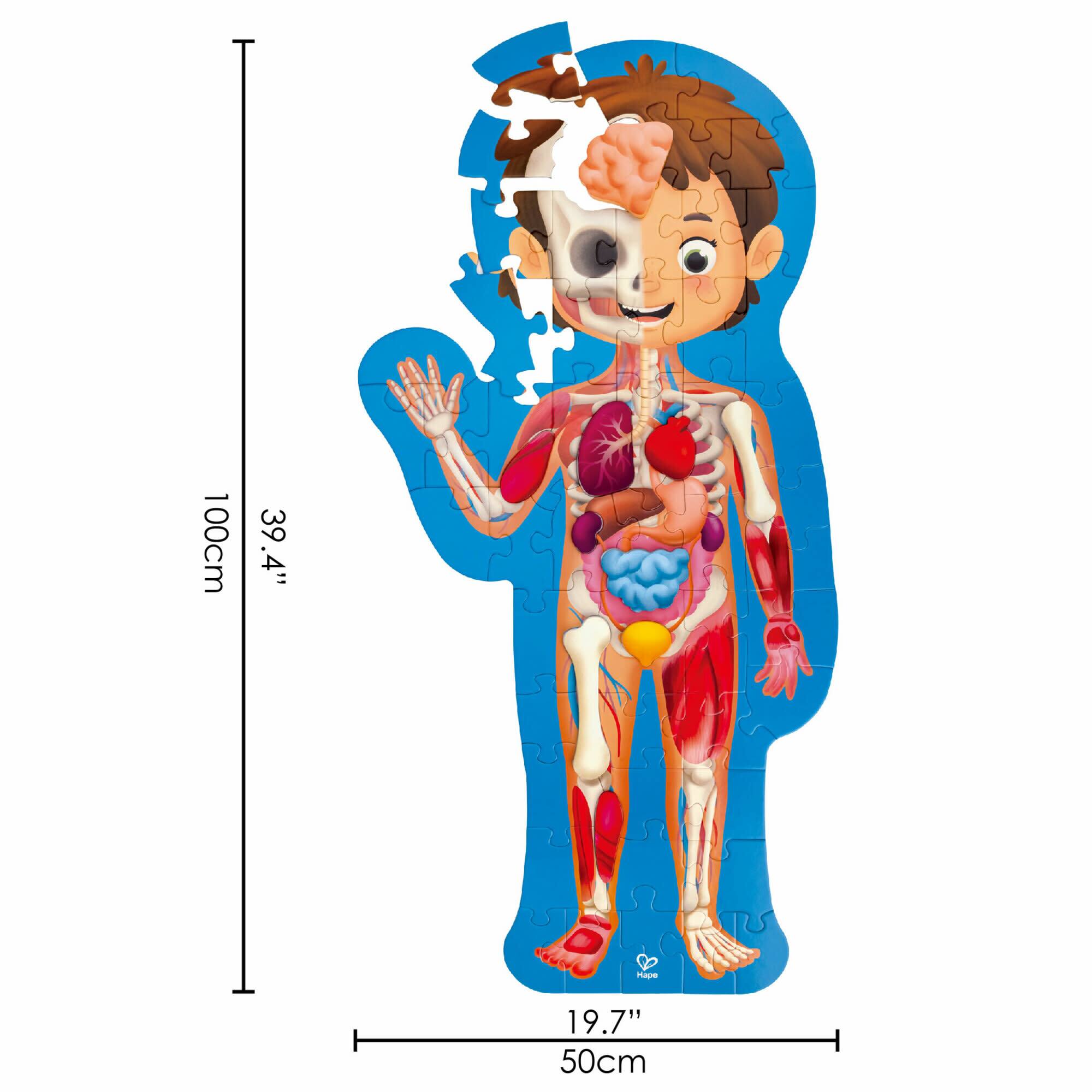 Hape Human Body Oversize Educational Puzzle