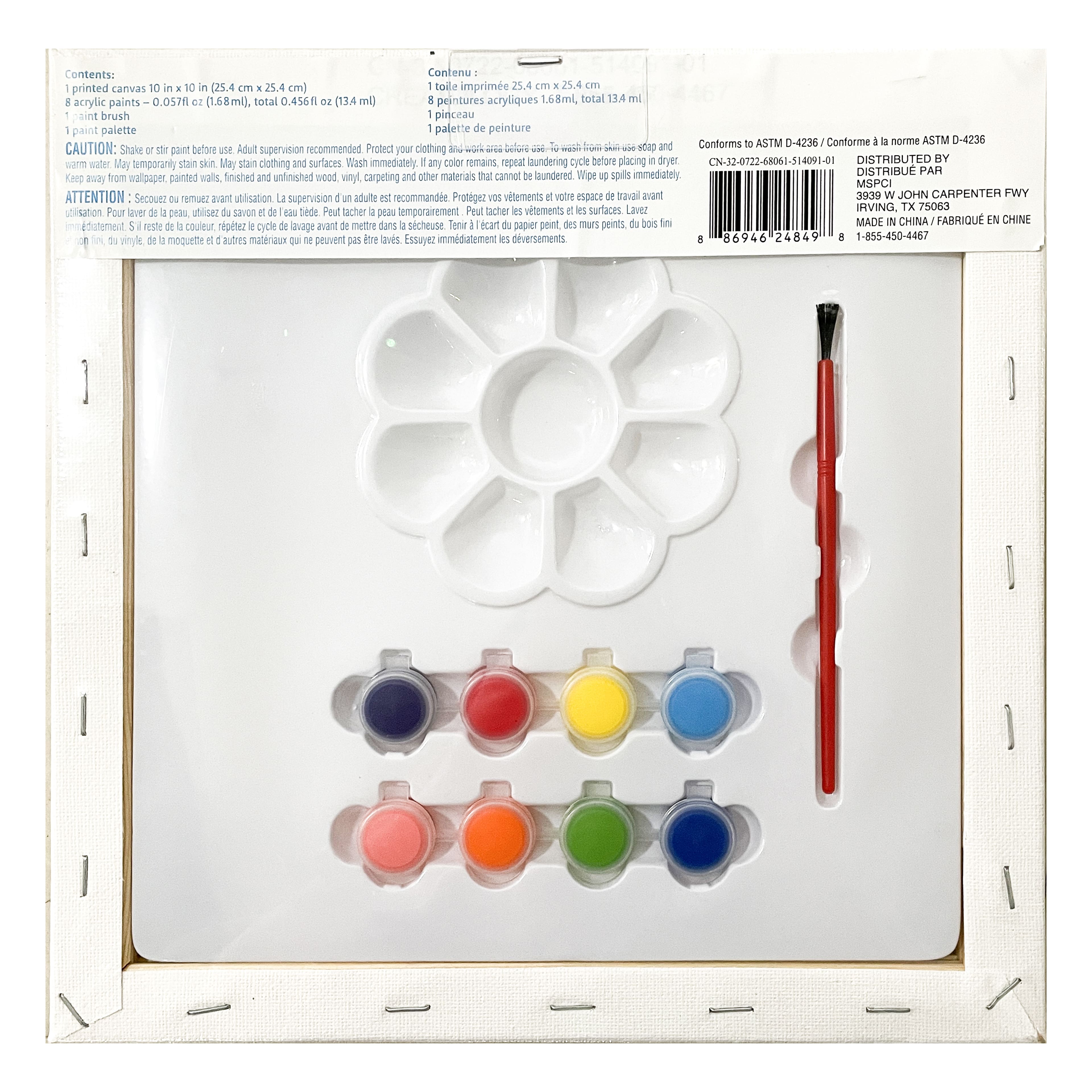 Assorted Canvas Paint Set by Creatology™, Michaels in 2023