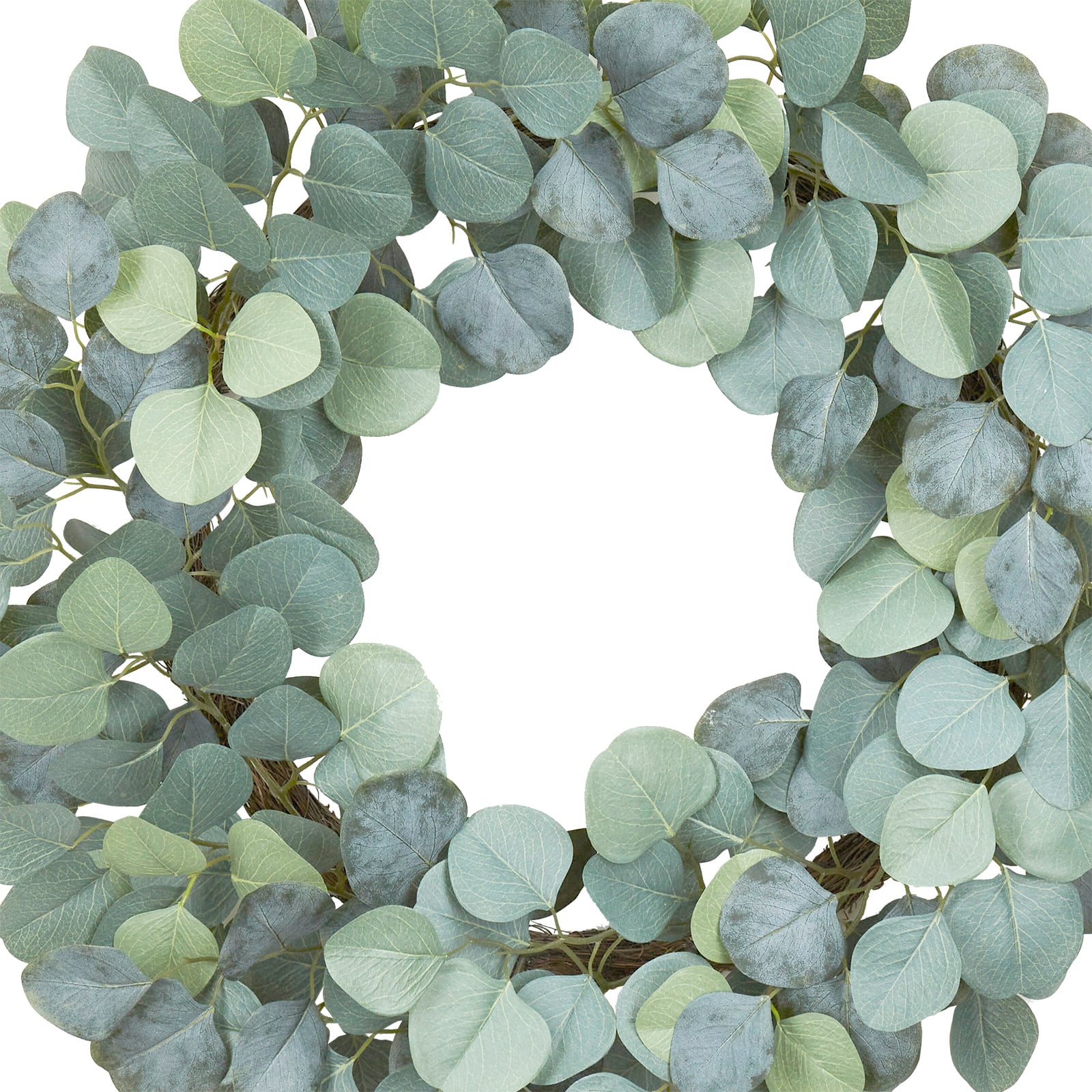 22&#x22; Eucalyptus Wreath by Ashland&#xAE;