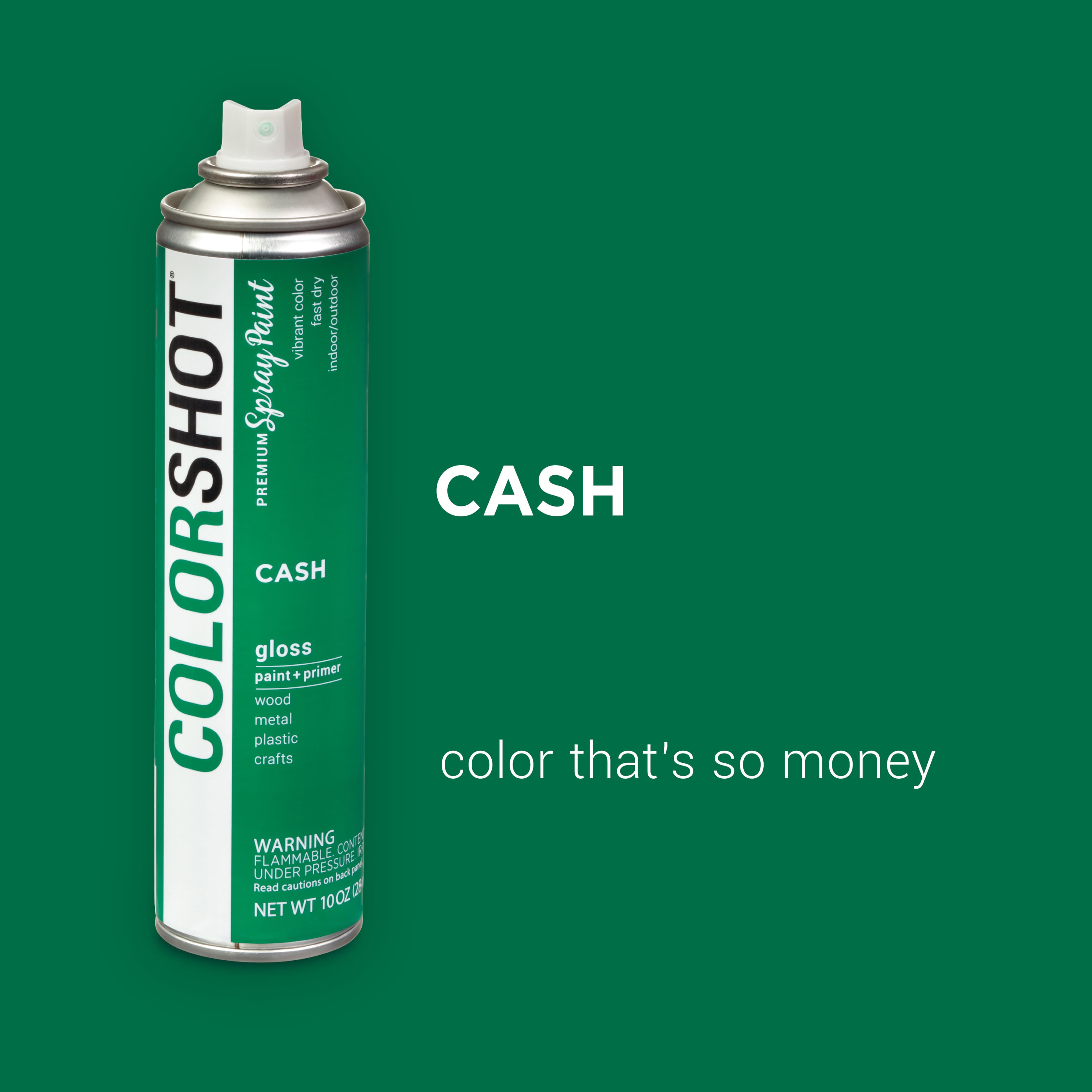 COLORSHOT&#xAE; Premium Gloss Spray Paint
