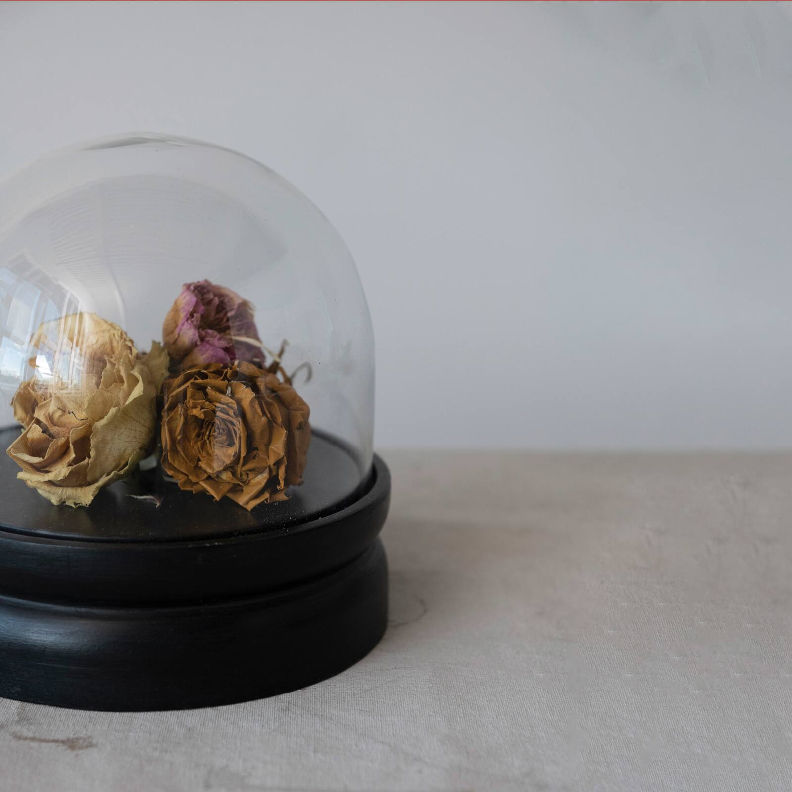 Hello Honey&#xAE; 8.5&#x22; Glass Cloche with Black Mango Wood Base Set