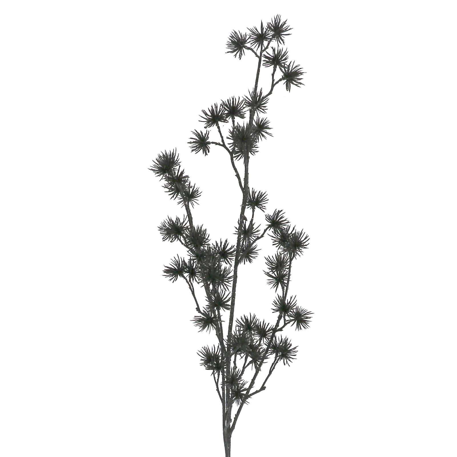 31.5&#x22; Black Pom Pom Stem by Ashland&#xAE;