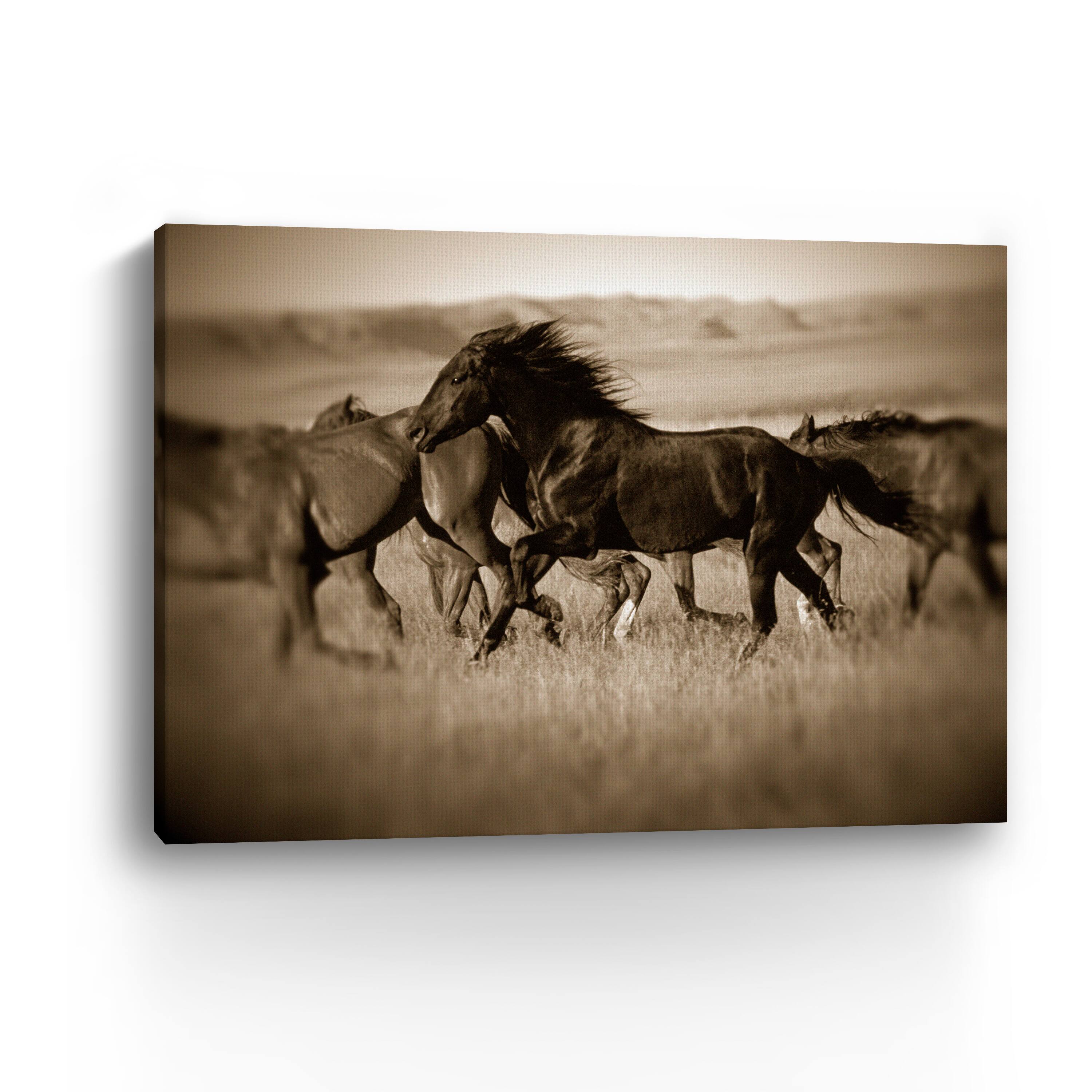 Dark Horse Canvas Giclee