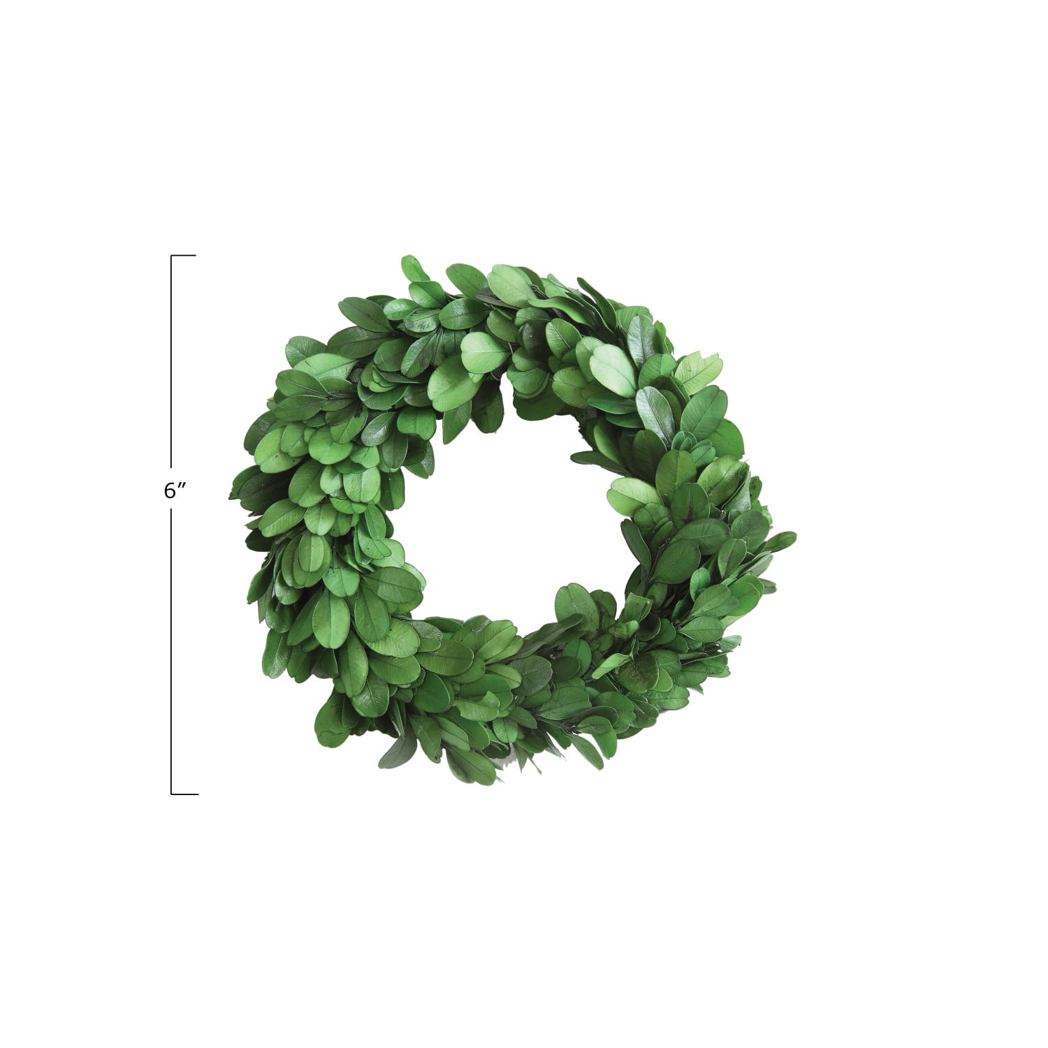 Preserved Genuine Boxwood Wreath