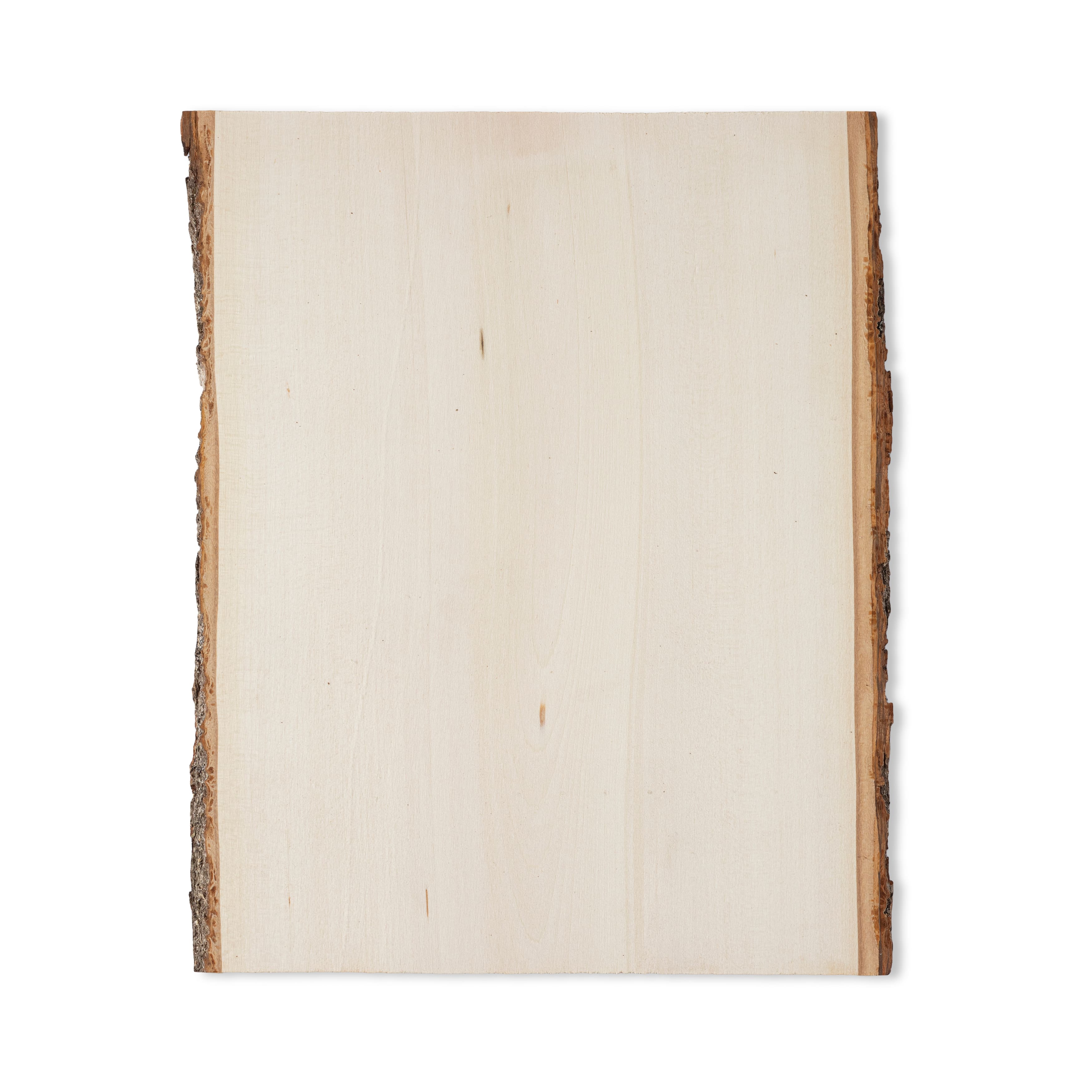 12 Pack: 13&#x22; Basswood Rectangle Plaque by Make Market&#xAE;