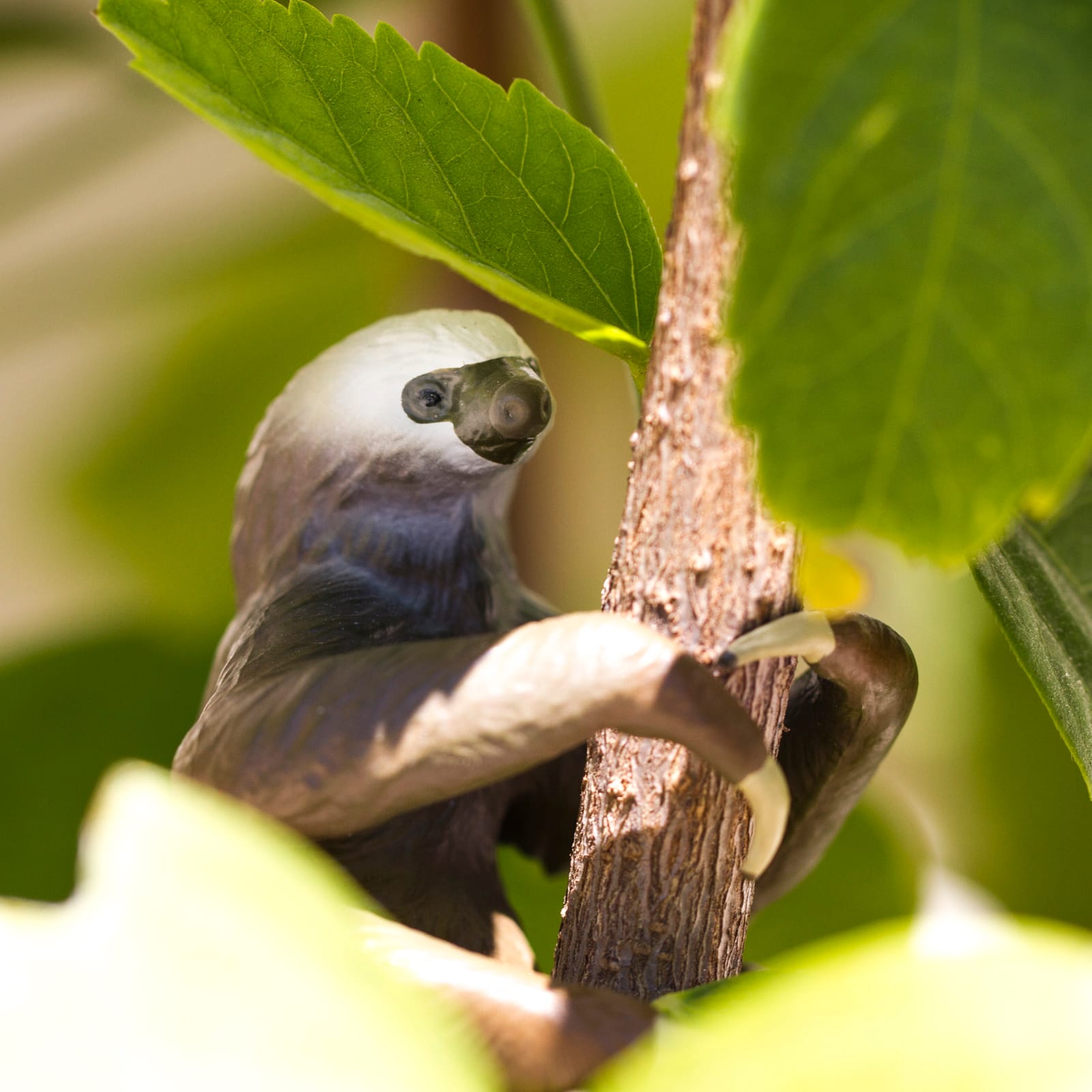Safari Ltd® Two-Toed Sloth Toy