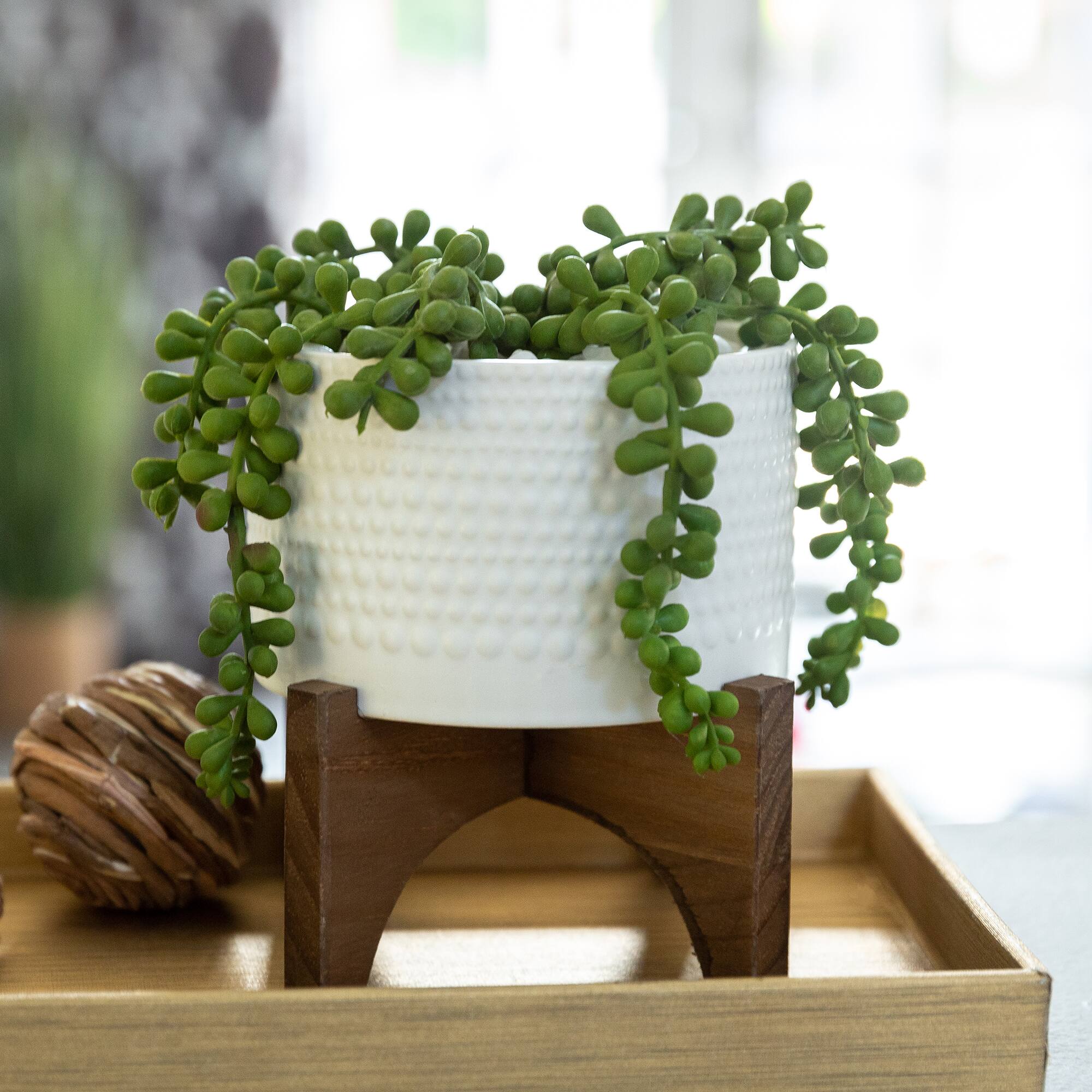 Flora Bunda® 5" String Of Pearl In Hobnail Ceramic Planter On Stand