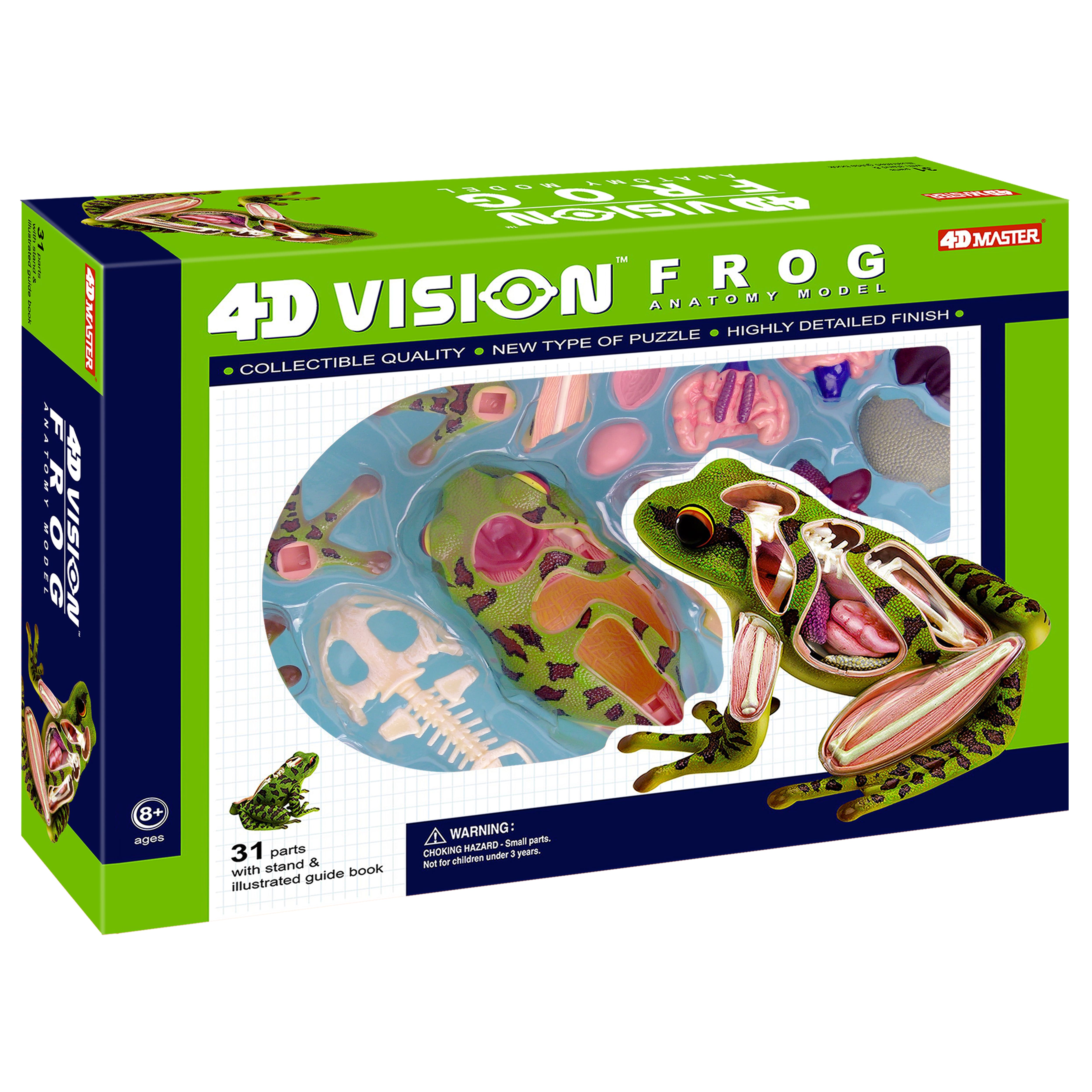 4D Vision&#x2122; Frog Anatomy Model
