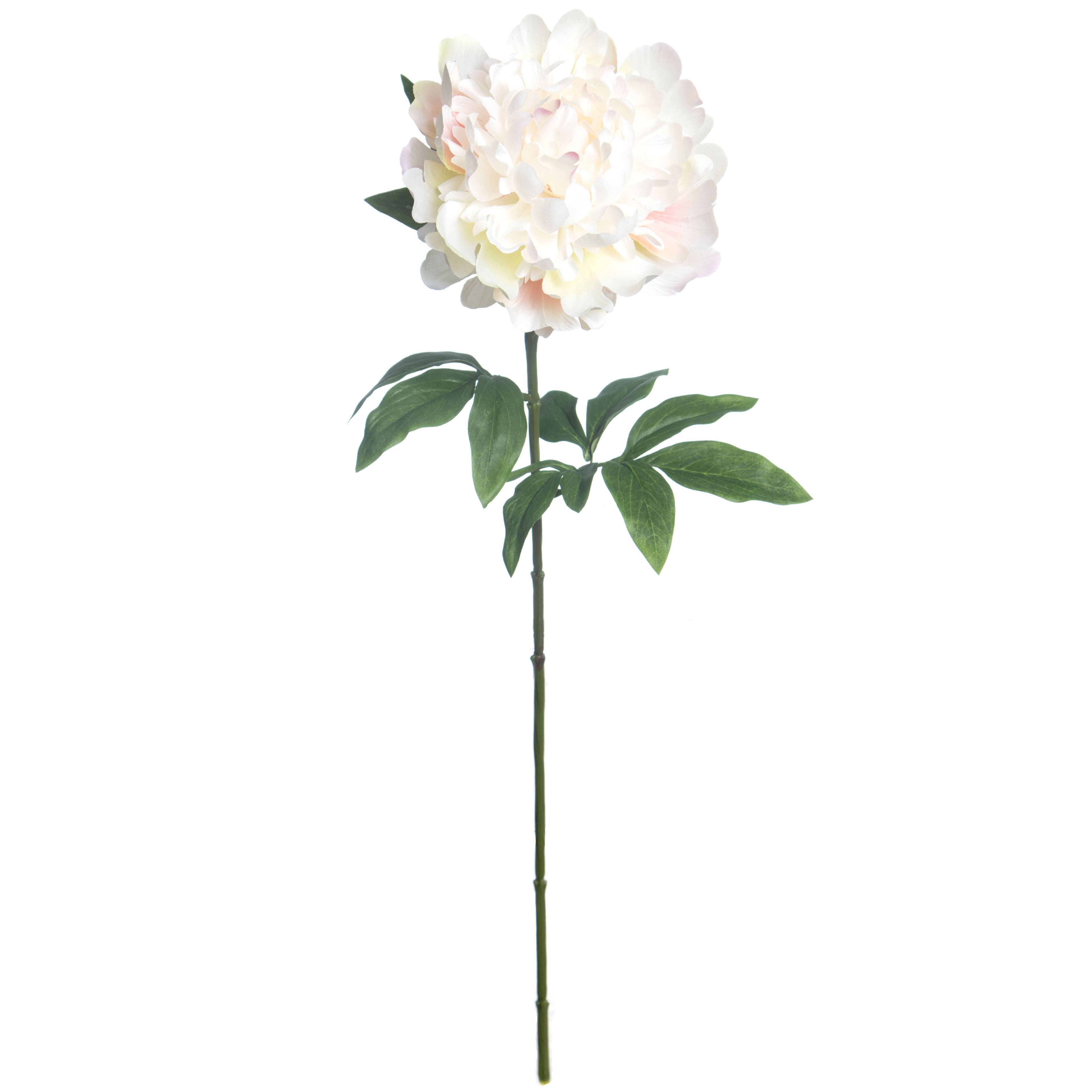 29.5&#x22; Cream &#x26; Pink Peony Stem by Ashland&#xAE;