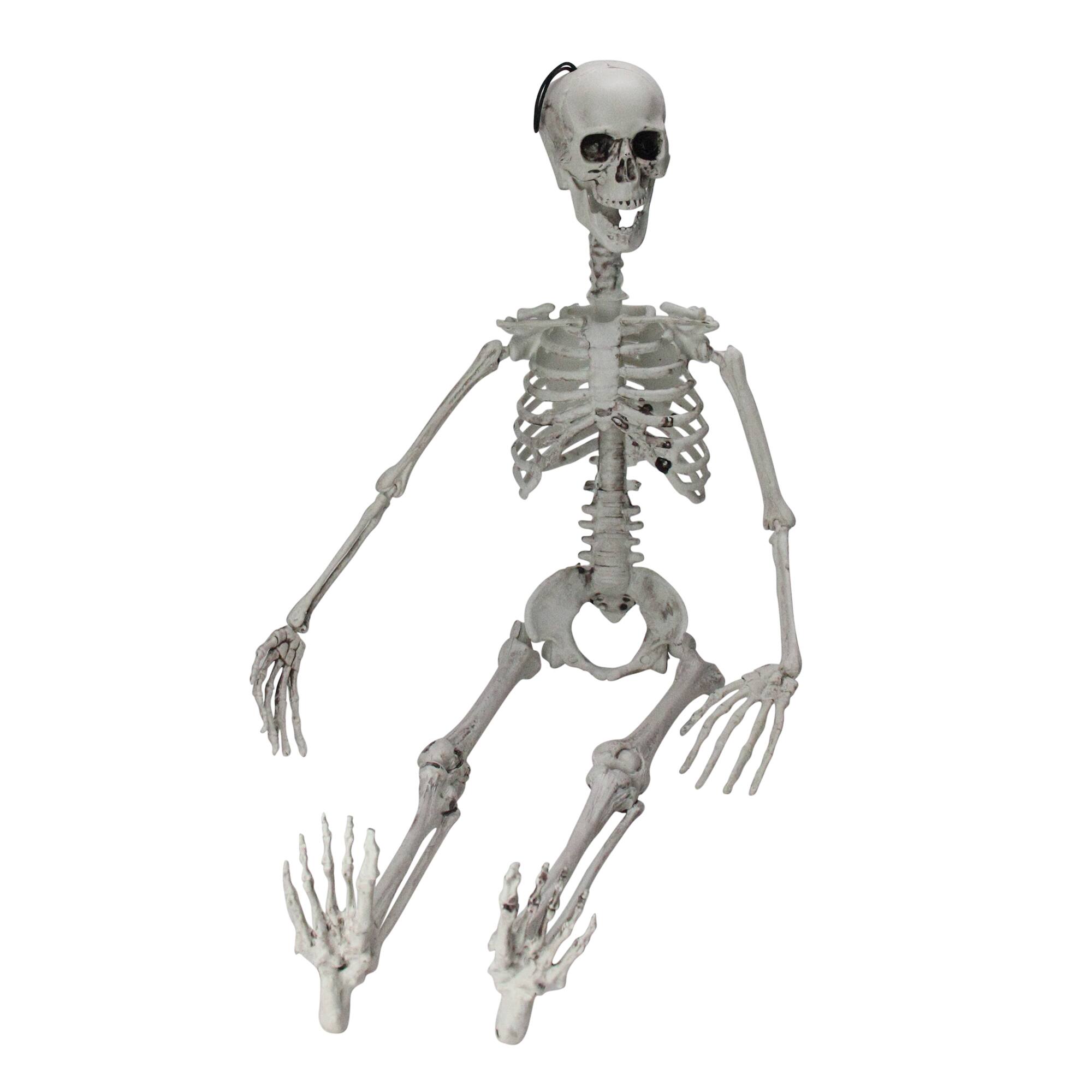 35&#x22; Jointed Hanging Skeleton Halloween Decoration