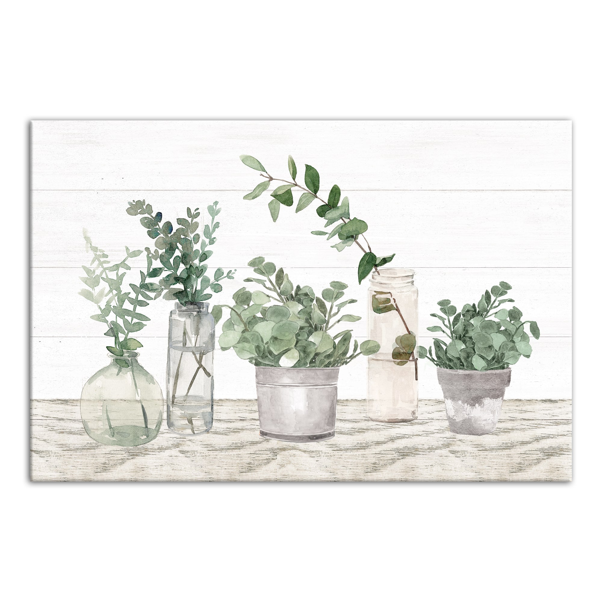 Glass Pots With Plants 36" x 24" Canvas Wall Art