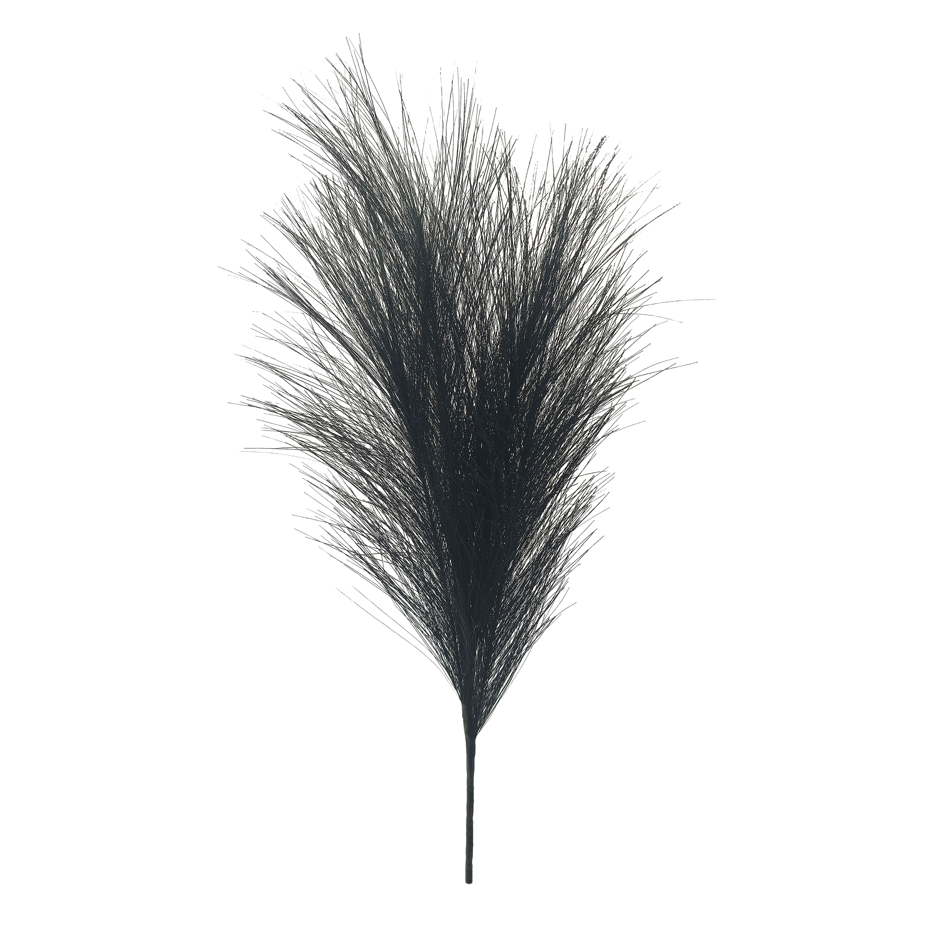 13.5&#x22; Pampas Grass Pick by Ashland&#xAE;