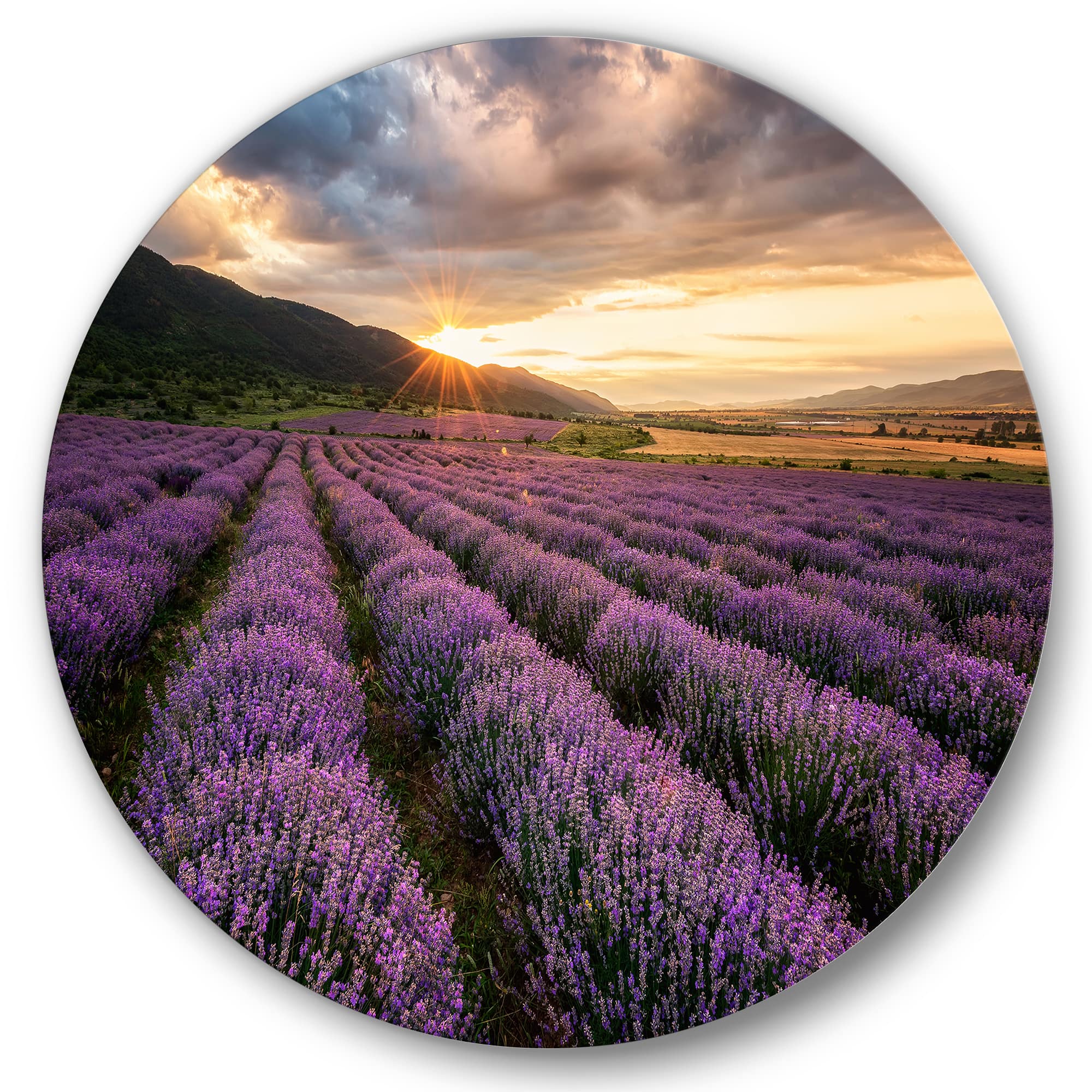 Designart - Sunrise &#x26; Dramatic Clouds Over Lavender Field VI - Farmhouse Metal Circle Wall Art