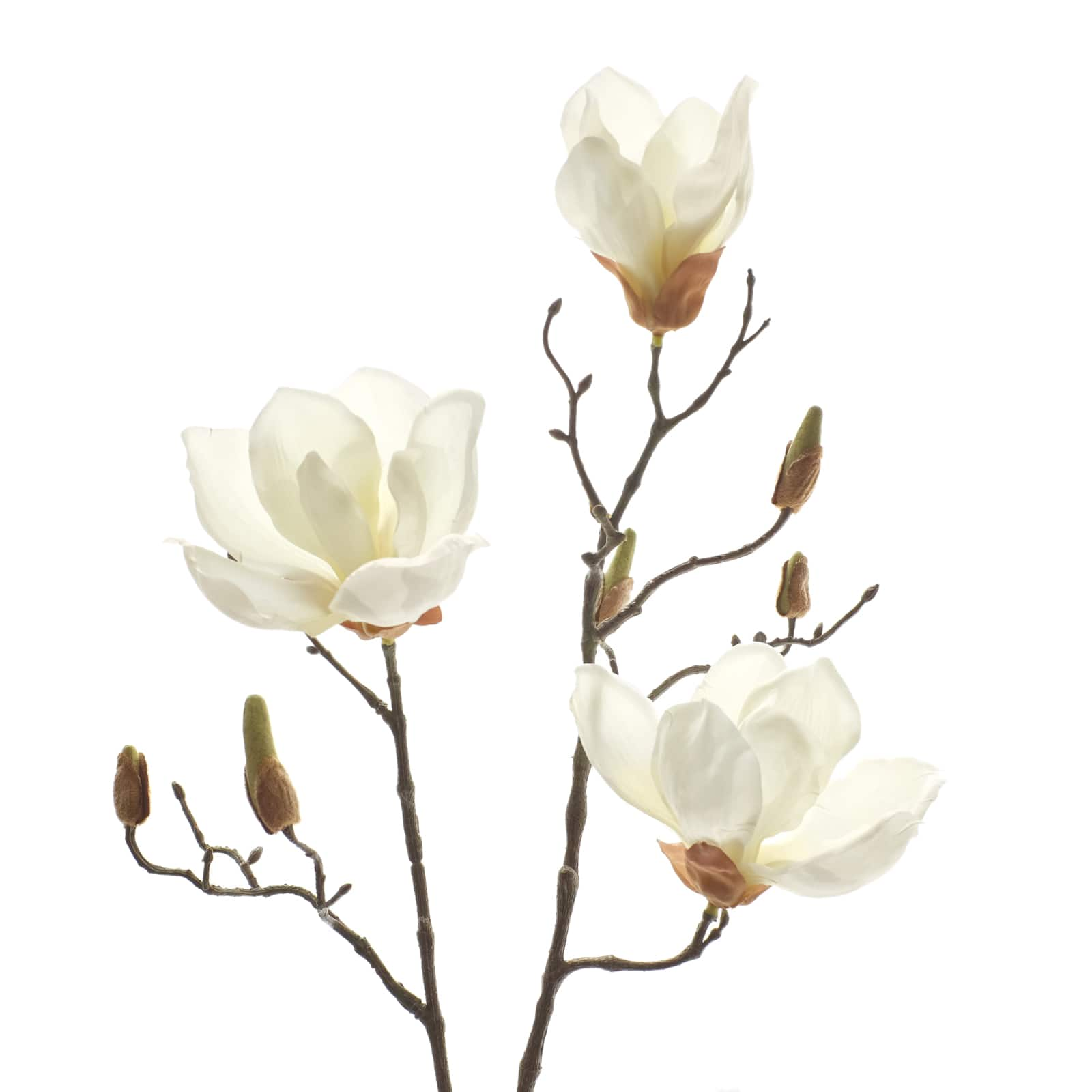 12 Pack: White Magnolia Branch Spray by Ashland&#xAE;