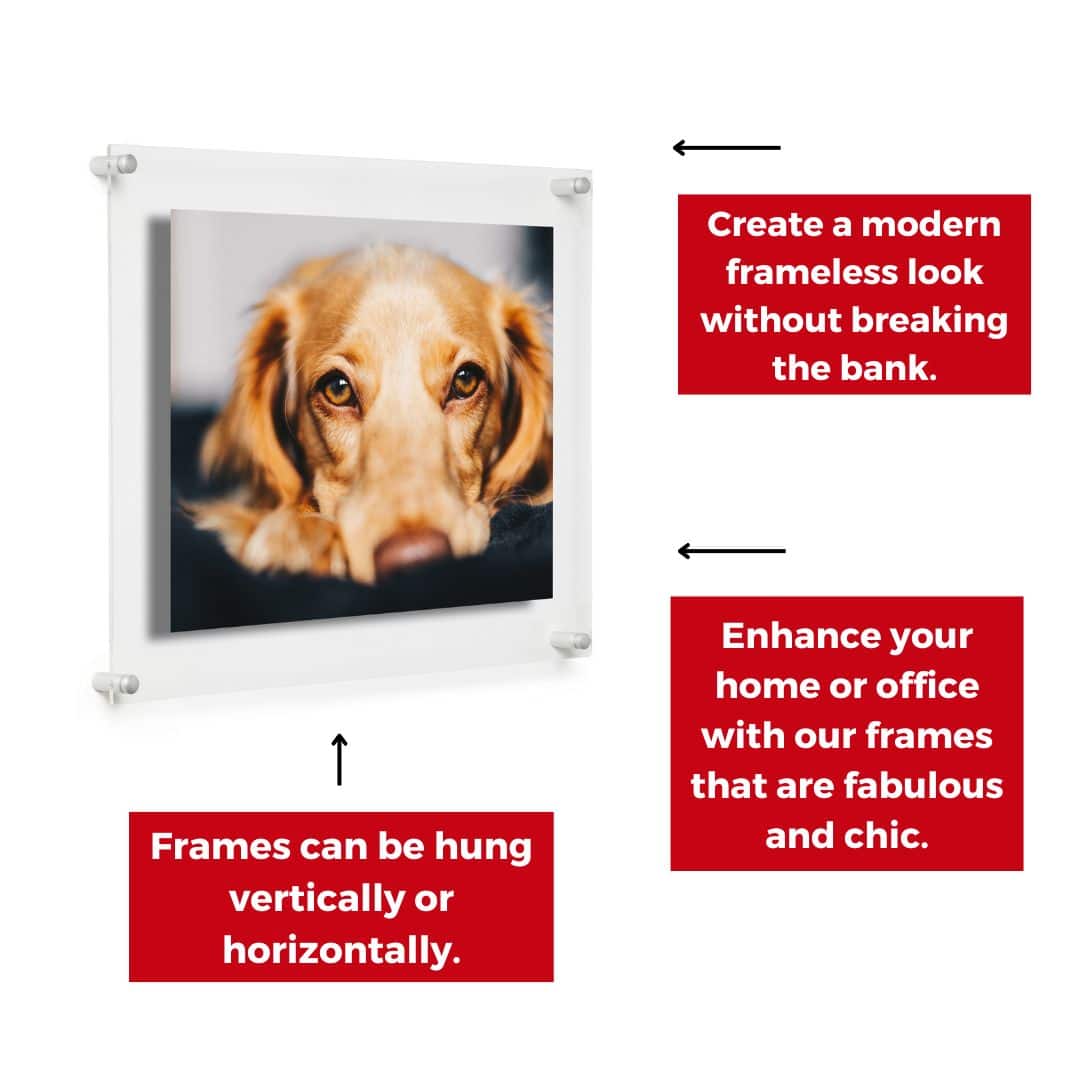 Cool Modern Frames Clear Acrylic Float Frame with Silver Hardware