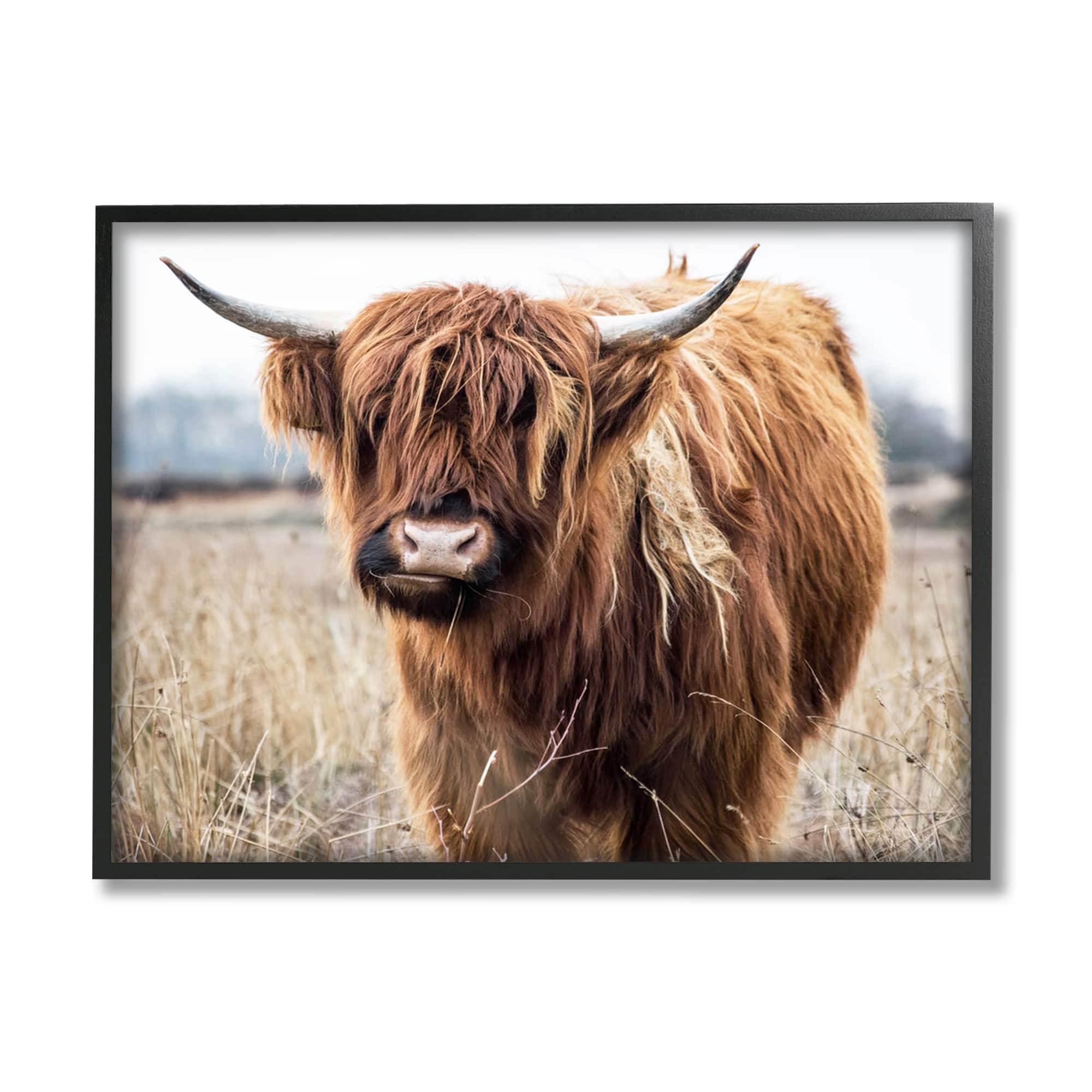 Stupell Industries Grazing Longhorn Cattle Farmland Animal Portrait Framed Giclee Art