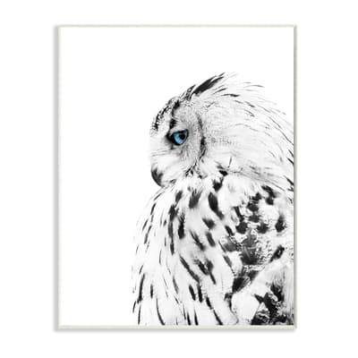 Stupell Industries Snow Owl White Feathers Peering Blue Eyes Wall Plaque | 13" x 19" | Michaels®