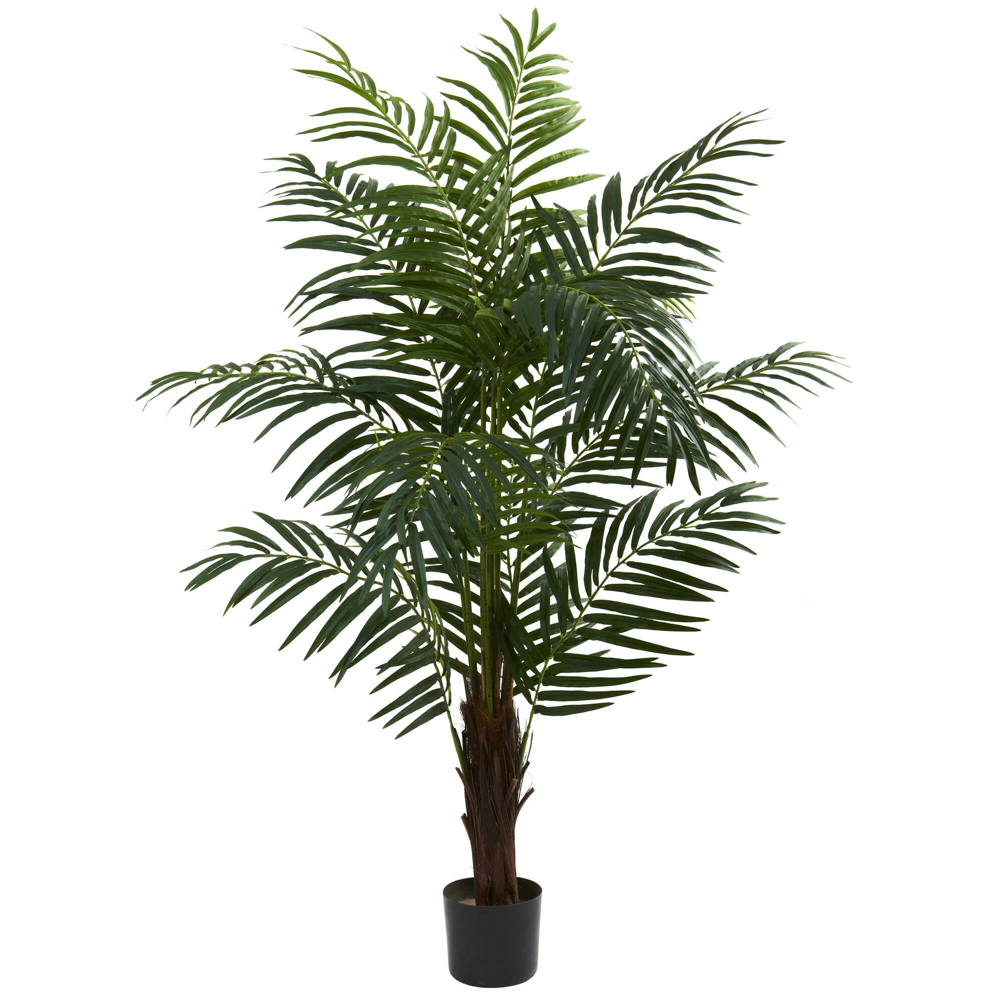 5ft Potted Green Areca Palm Tree Michaels