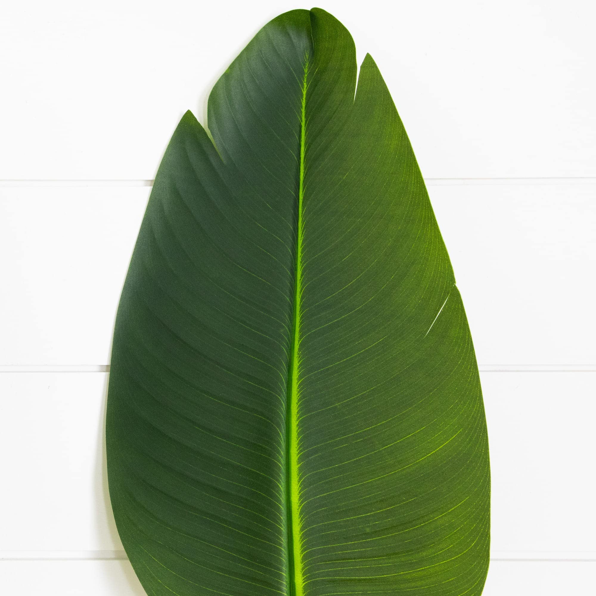 40in. Artificial Travelers Palm Stems - Set of 6