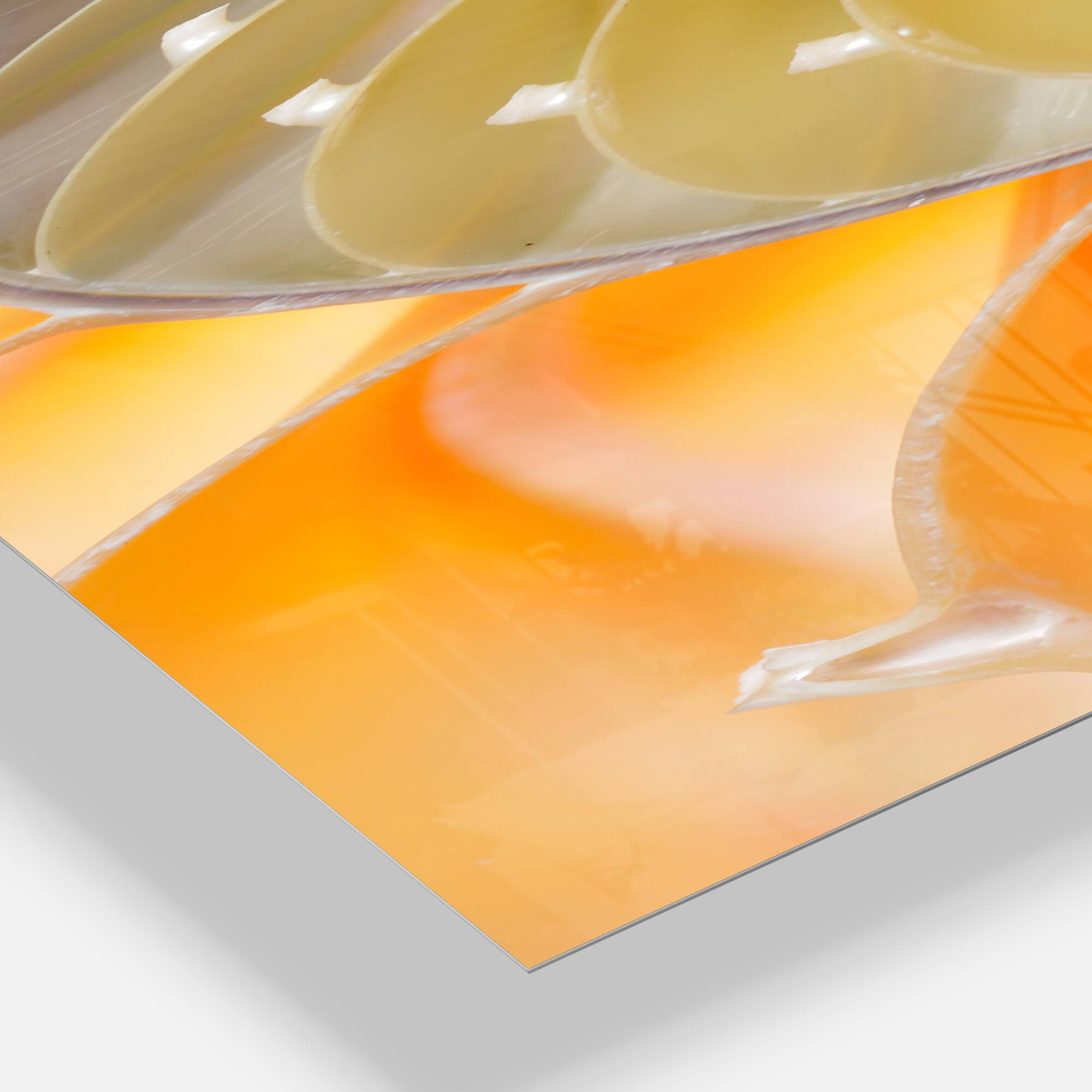 Designart &#x27;Isolated Nautilus Shell Modern Rectangular Wall Clock